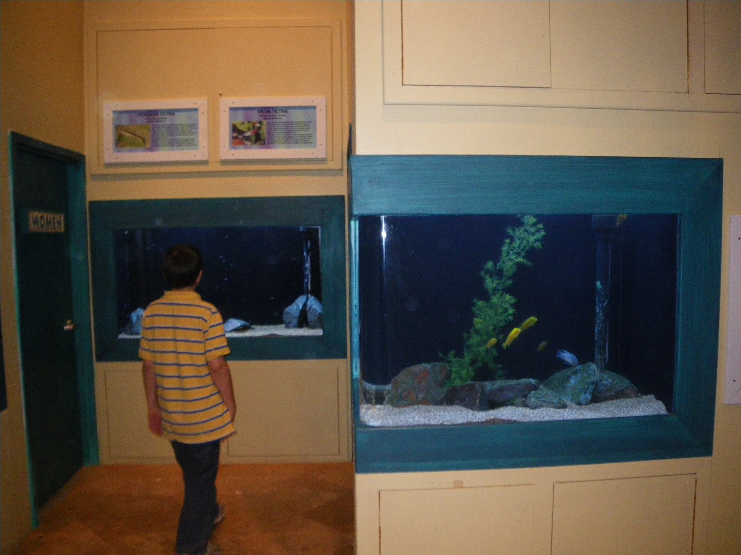 Aquarium at Wildlife World Zoo — Deutsch Architecture Group