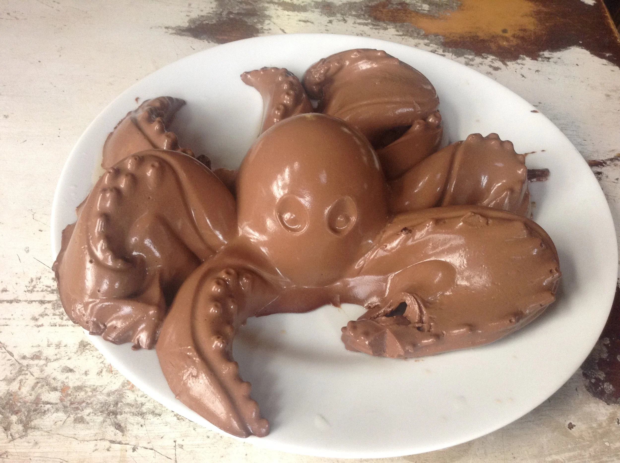 Chocolate Octopus.JPG