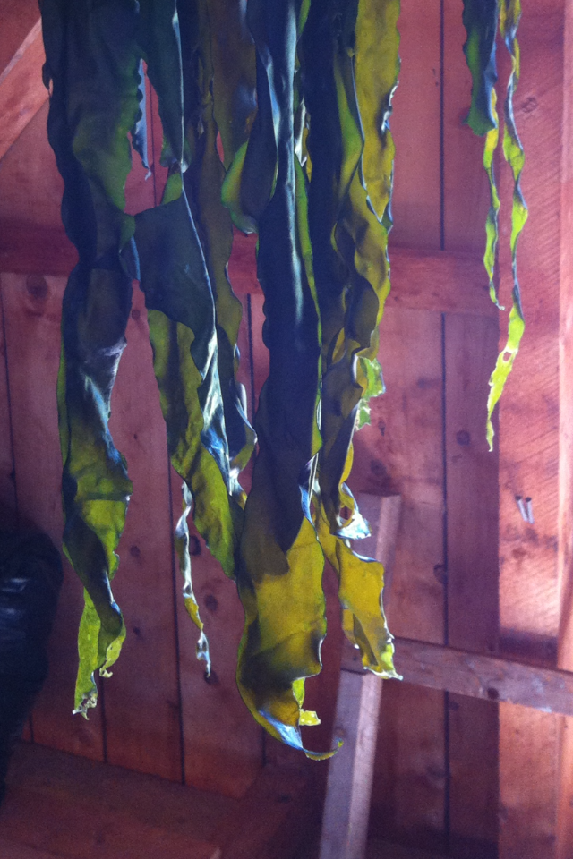 Kombu Drying House.PNG