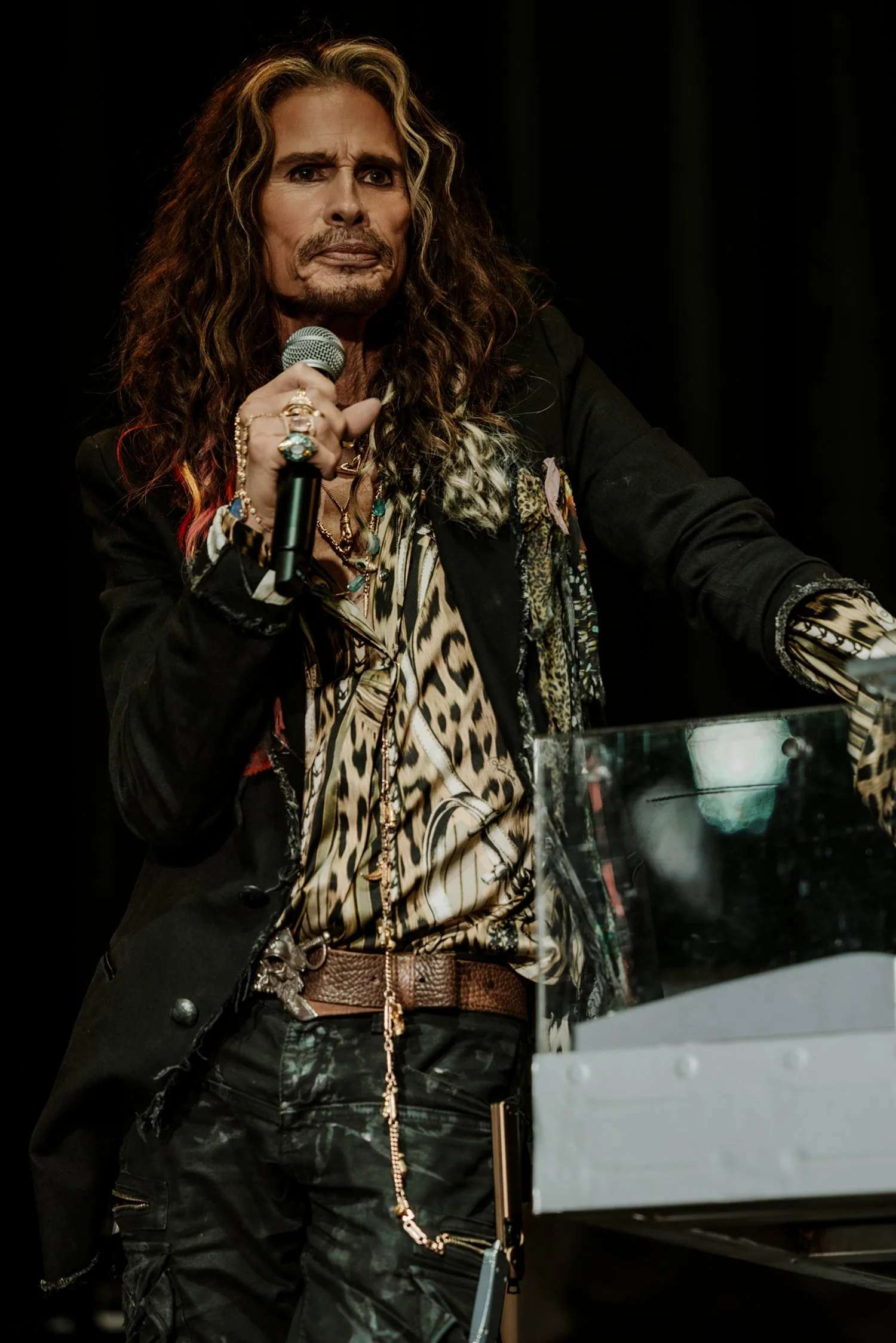 Aerosmith / Steven Tyler