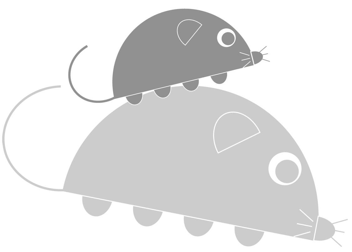 mousegrey.jpg