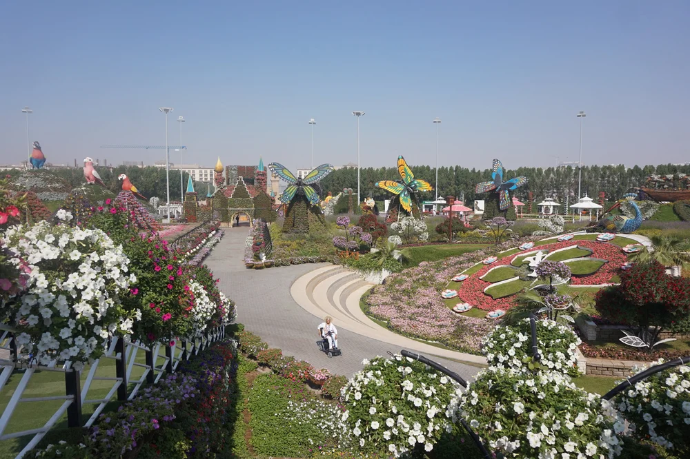 DSC00356.JPG