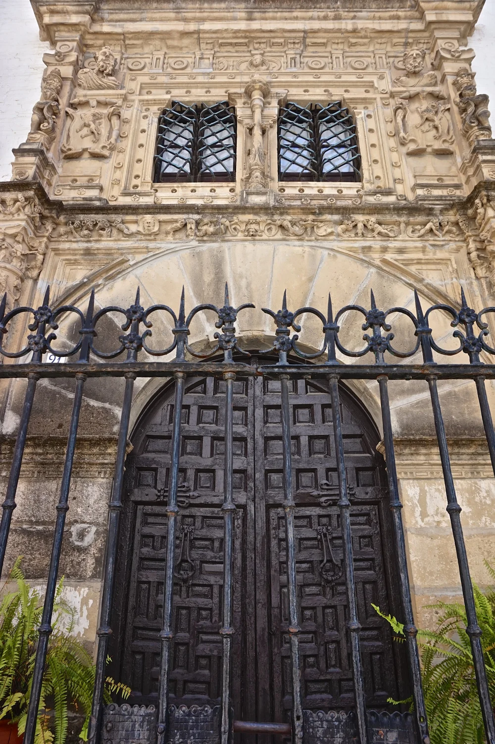 DSC02017.jpg