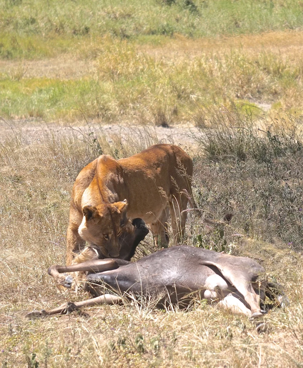 DSC01594.JPG