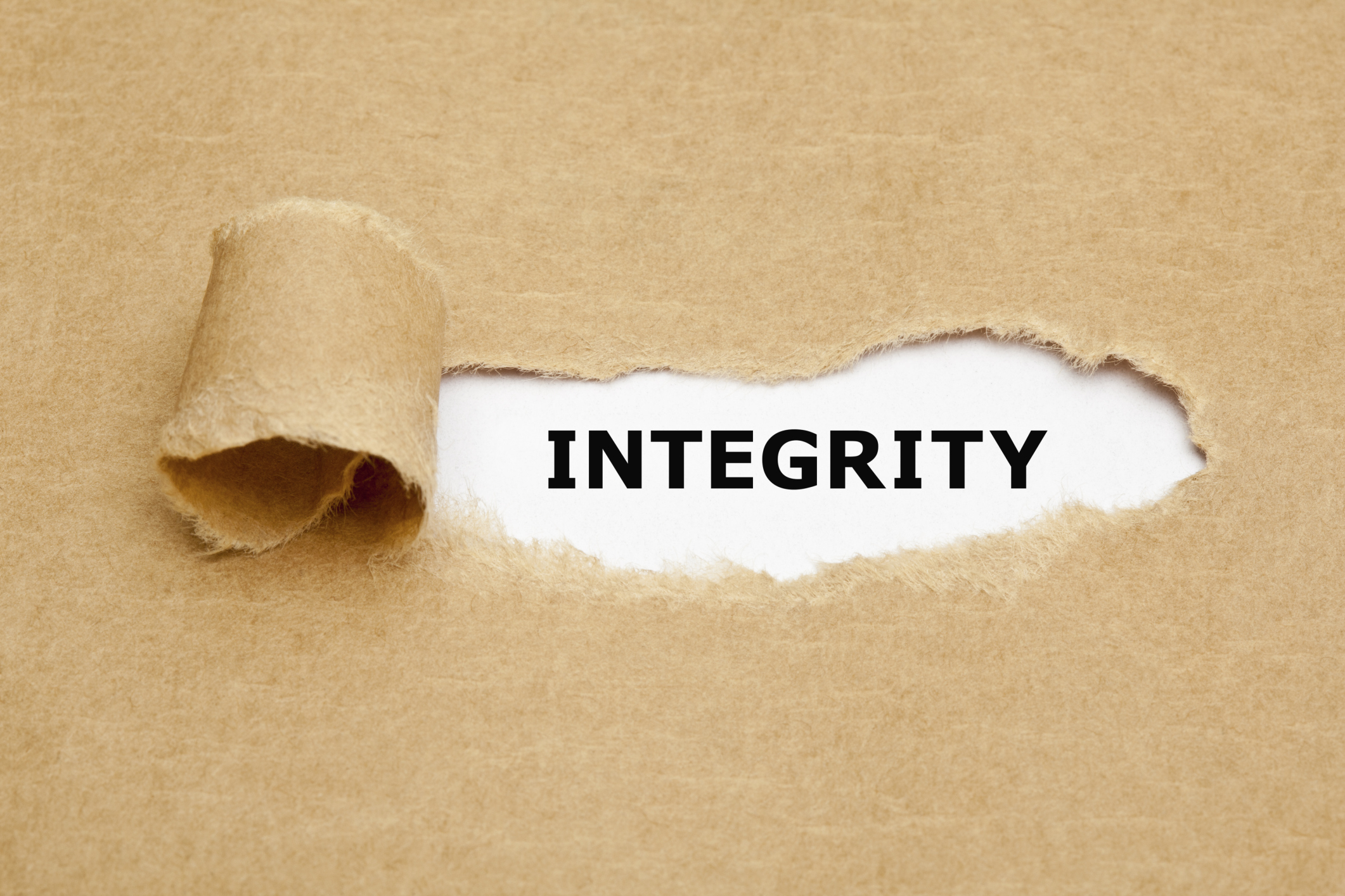 PIC Integrity-Paper.jpg
