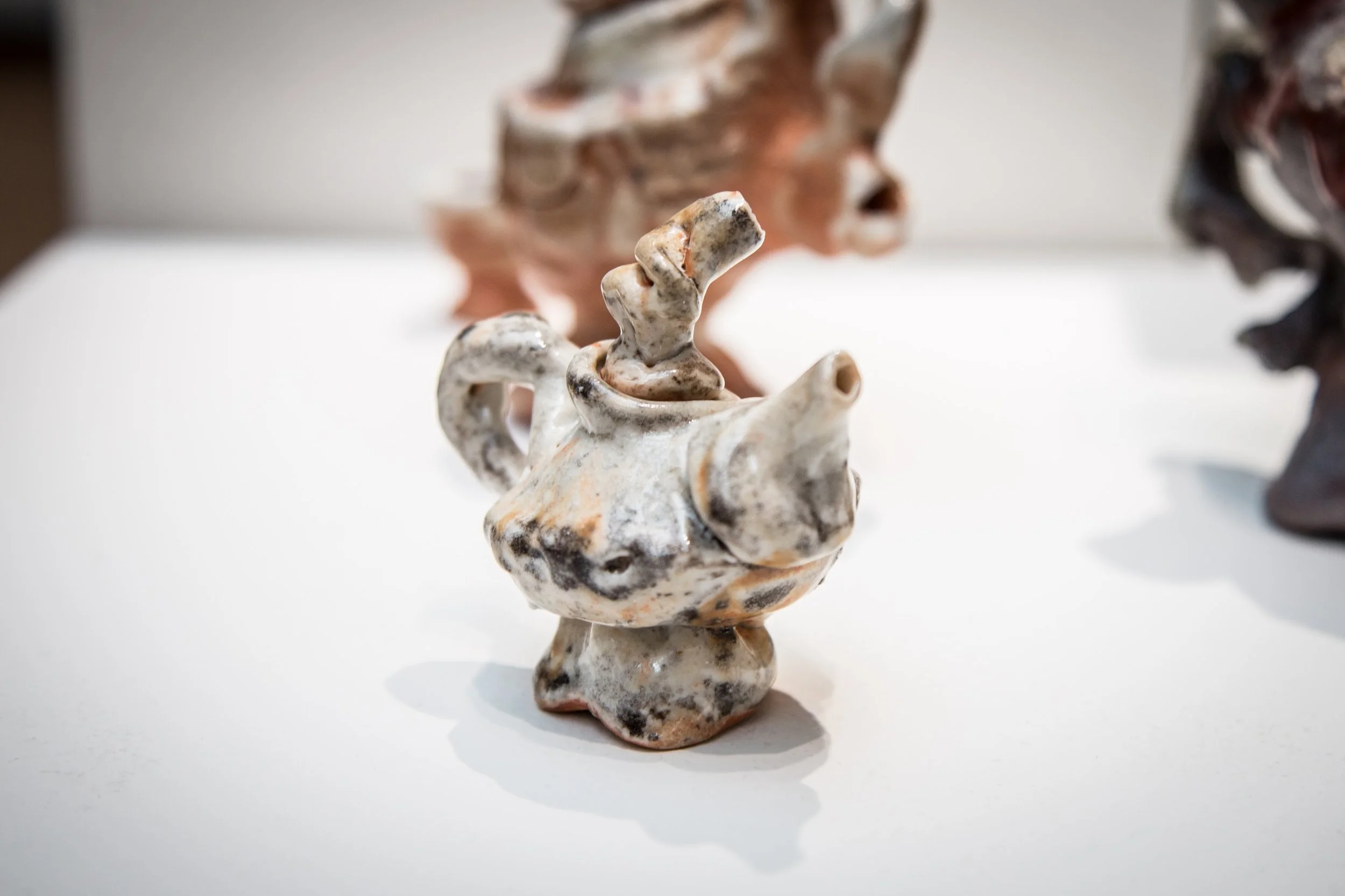 Symbiotic Install-4.jpg