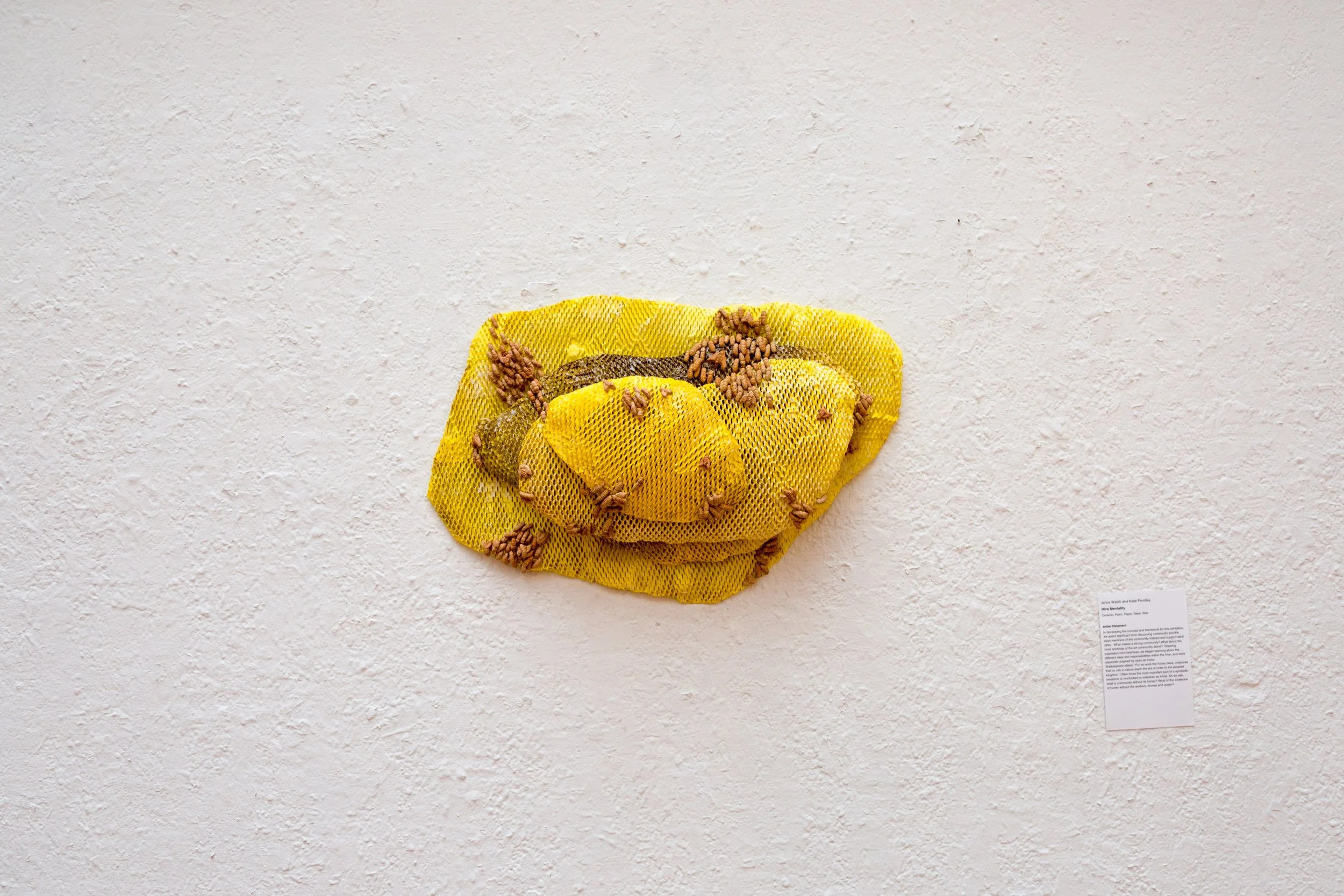 Symbiotic Install-14.jpg