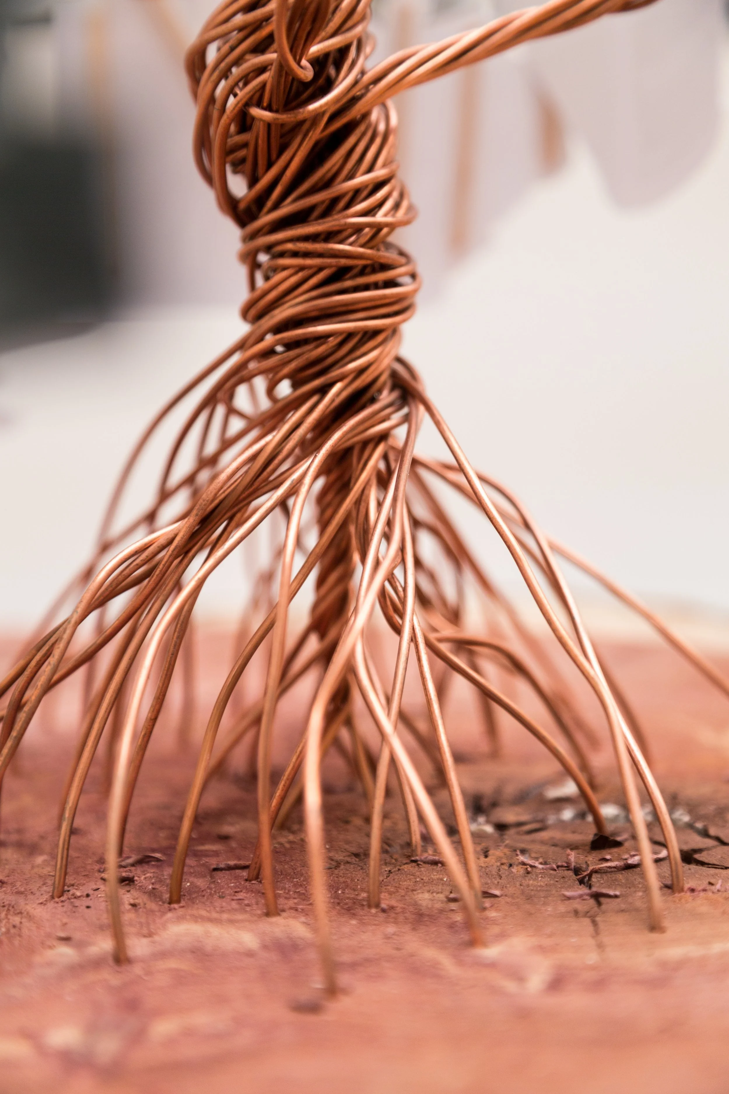 Symbiotic Install-20.jpg