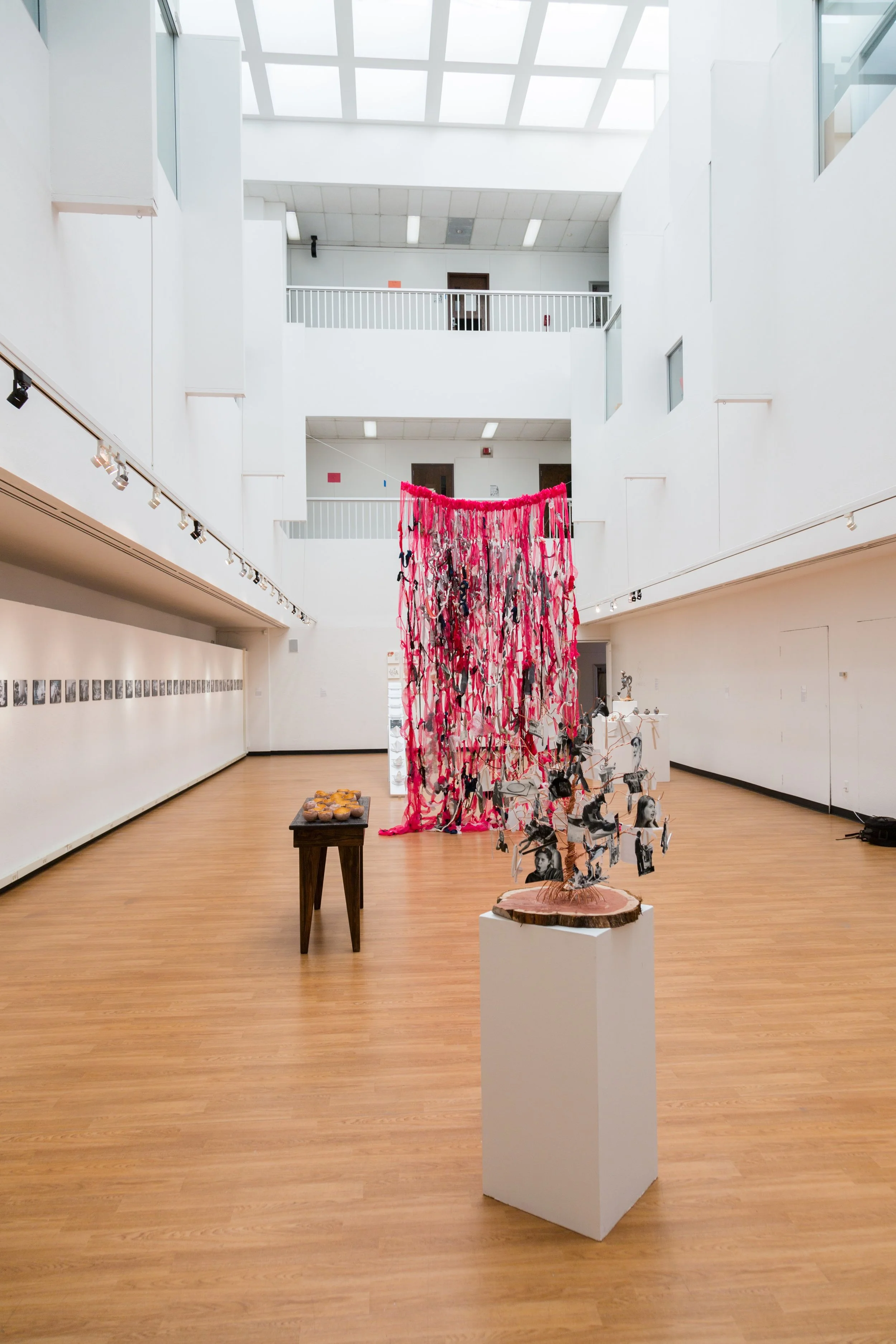 Symbiotic Install-22.jpg