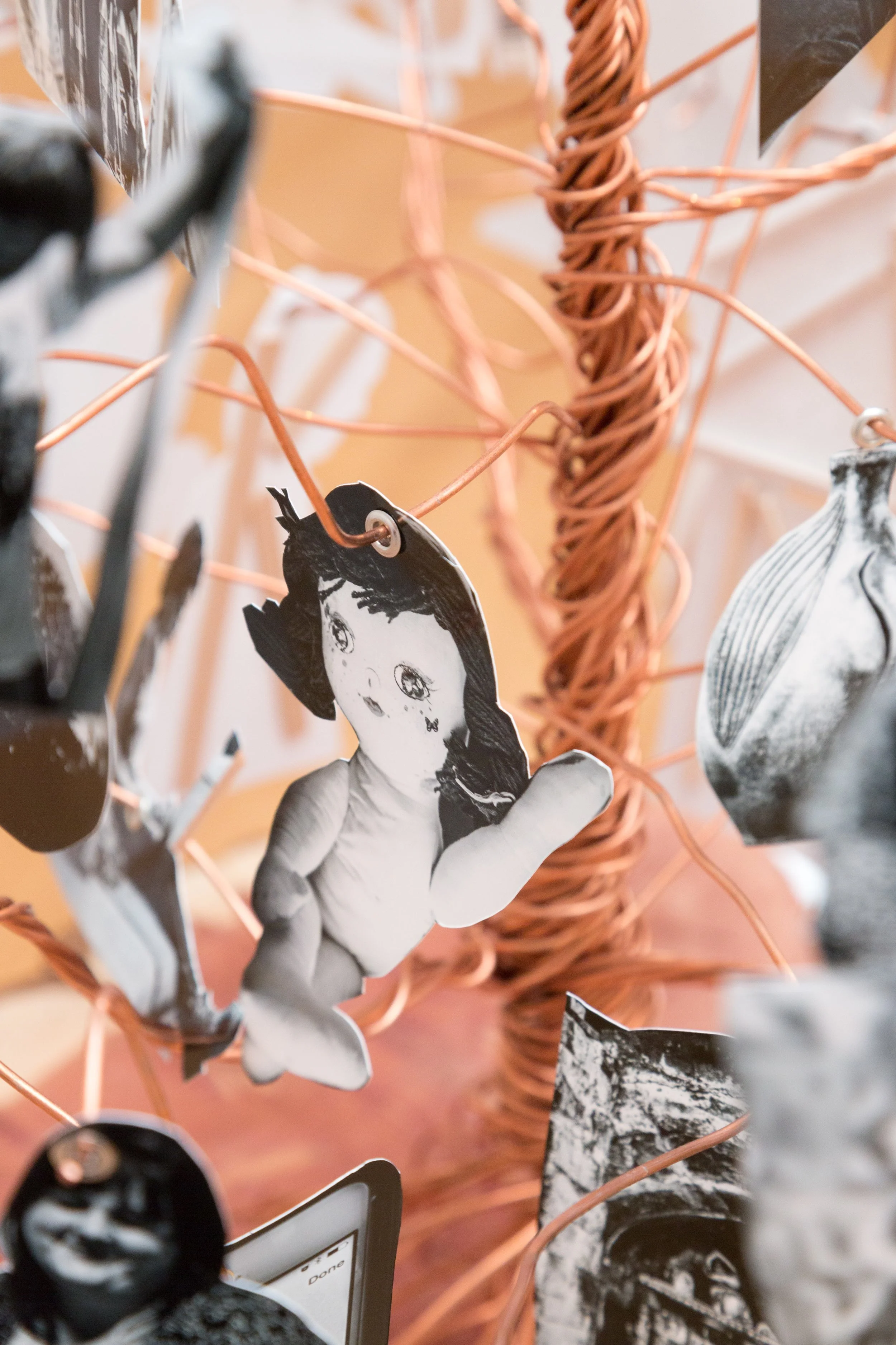 Symbiotic Install-25.jpg