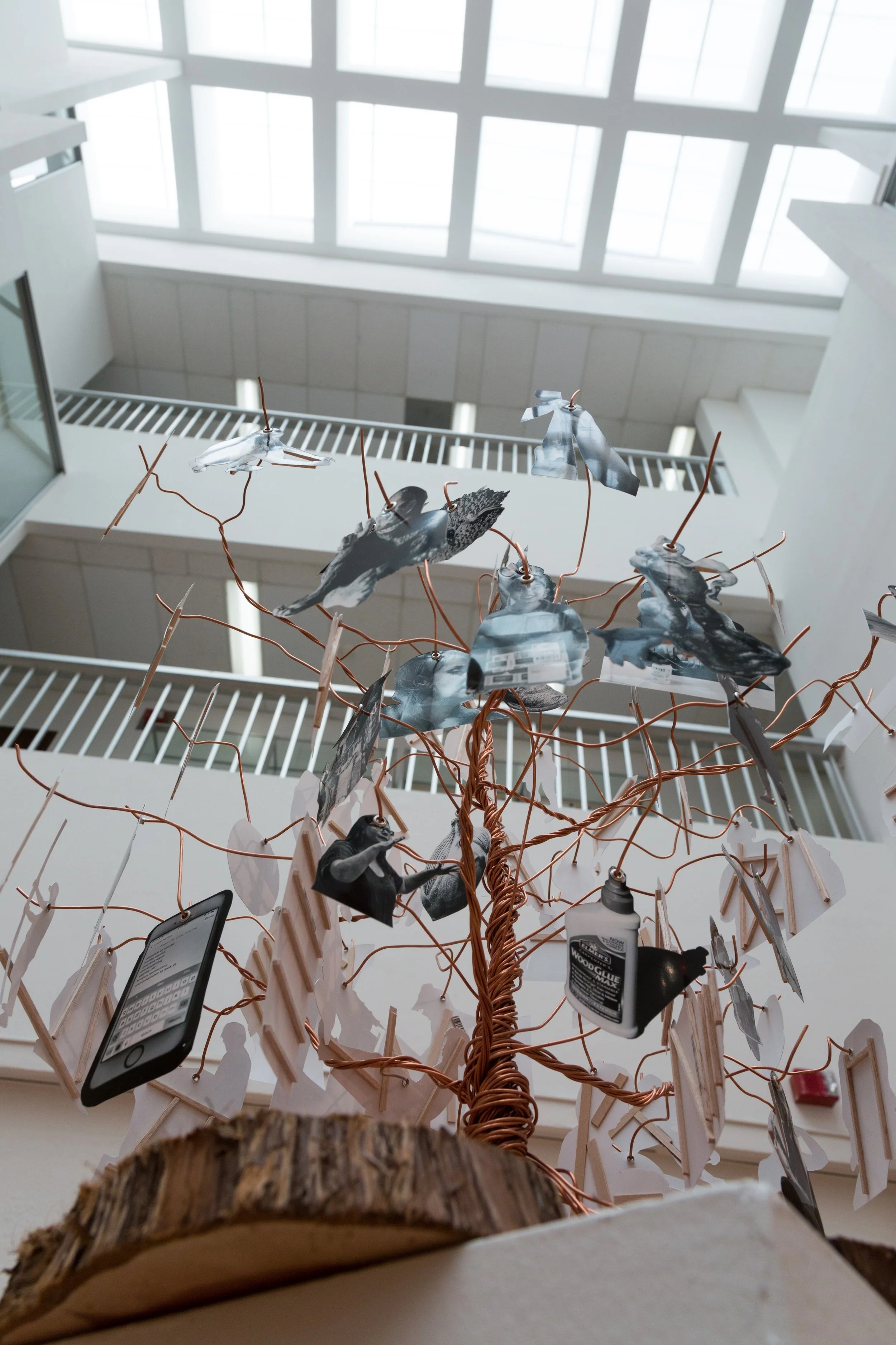 Symbiotic Install-28.jpg