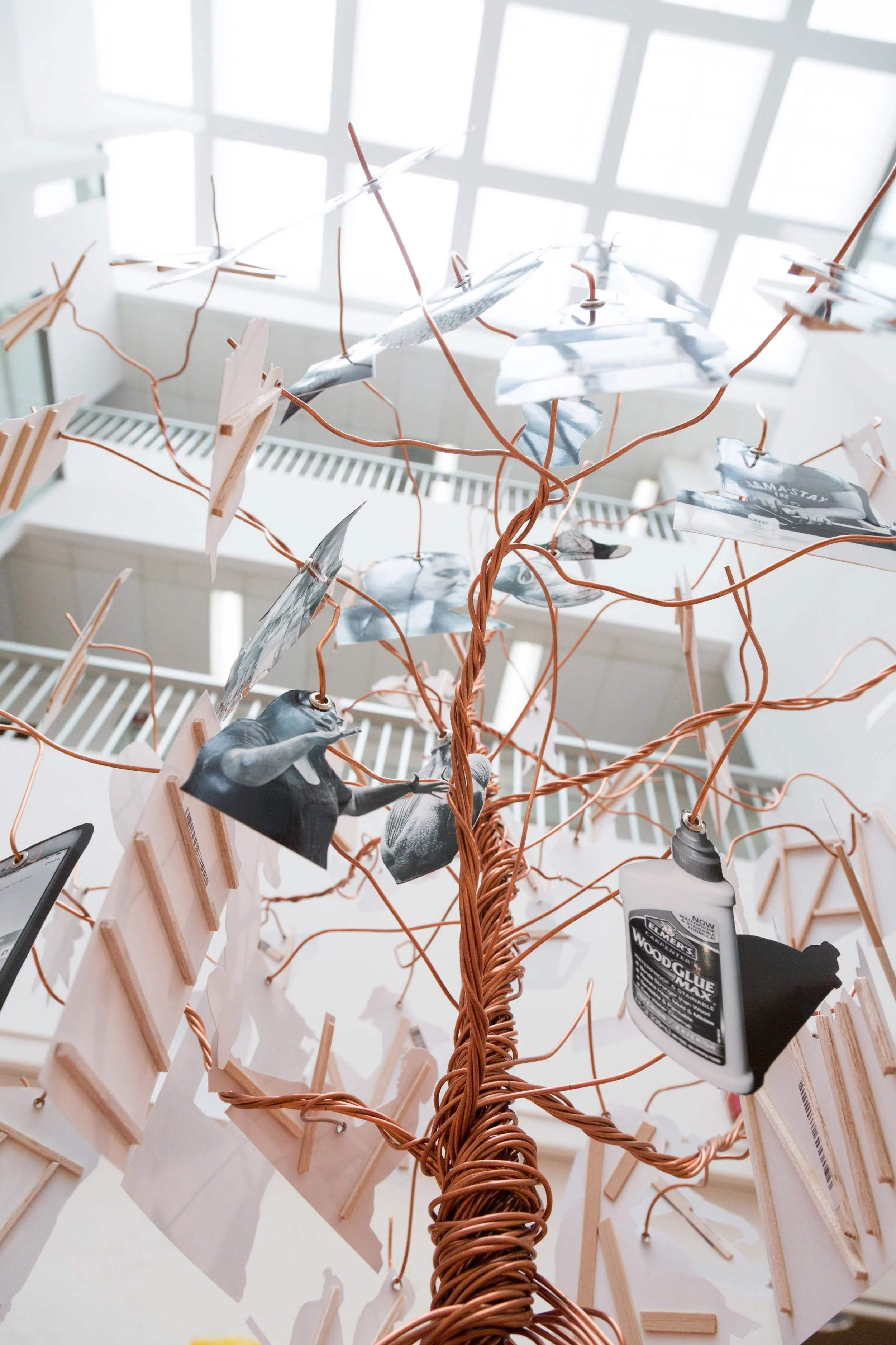 Symbiotic Install-30.jpg