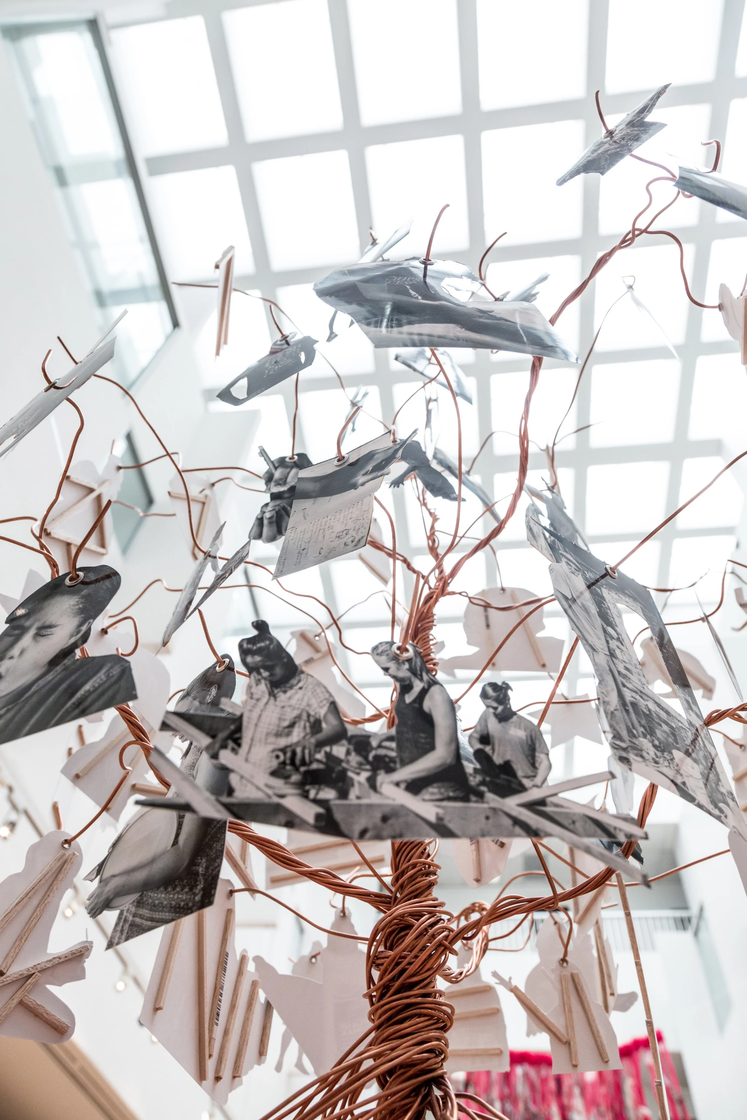 Symbiotic Install-33.jpg