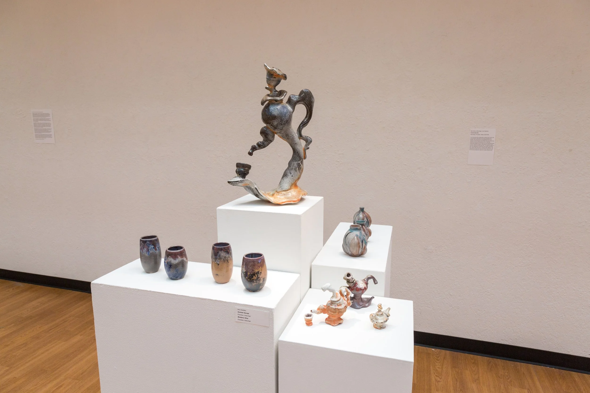 Symbiotic Install-41.jpg