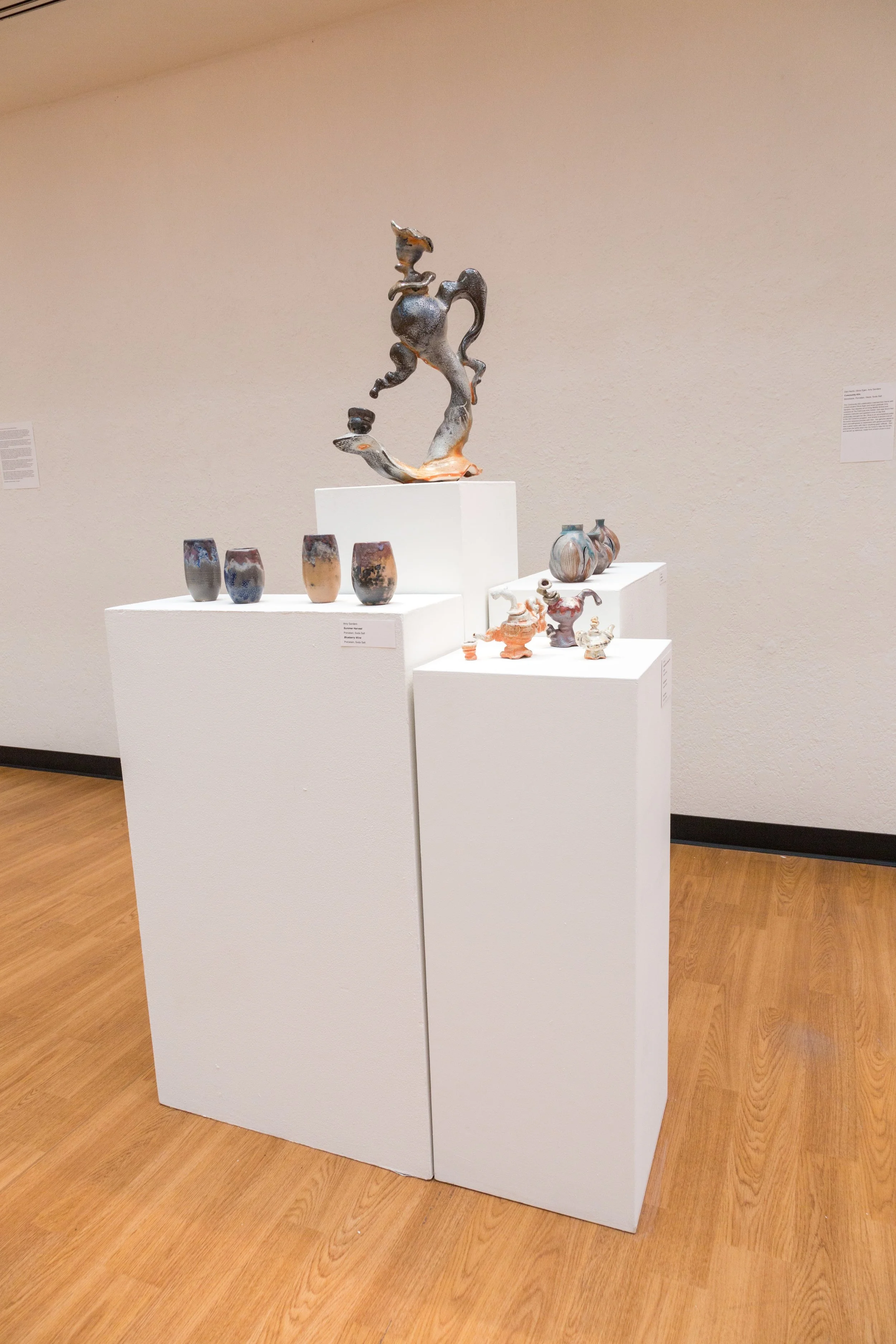 Symbiotic Install-42.jpg
