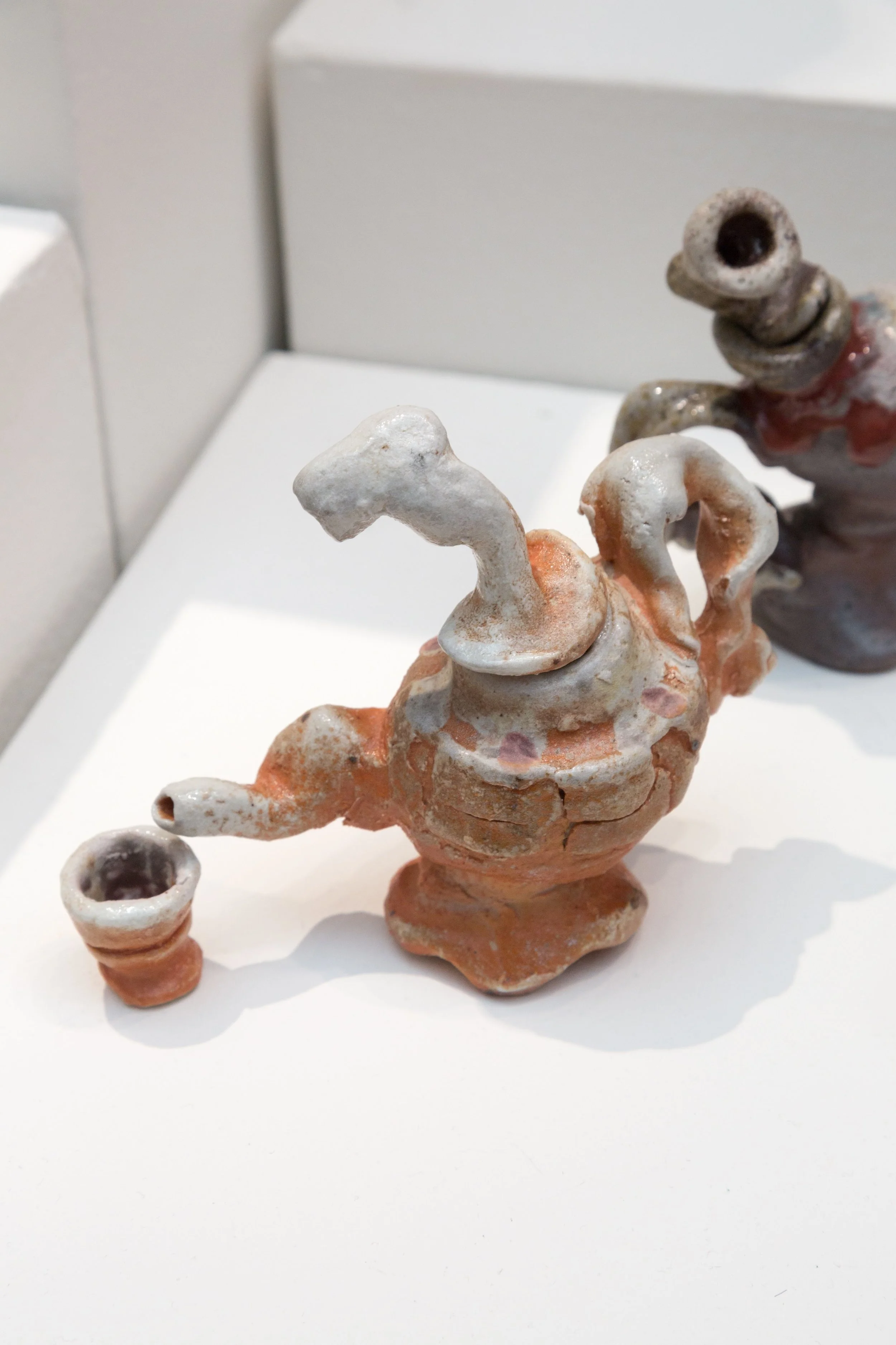 Symbiotic Install-50.jpg