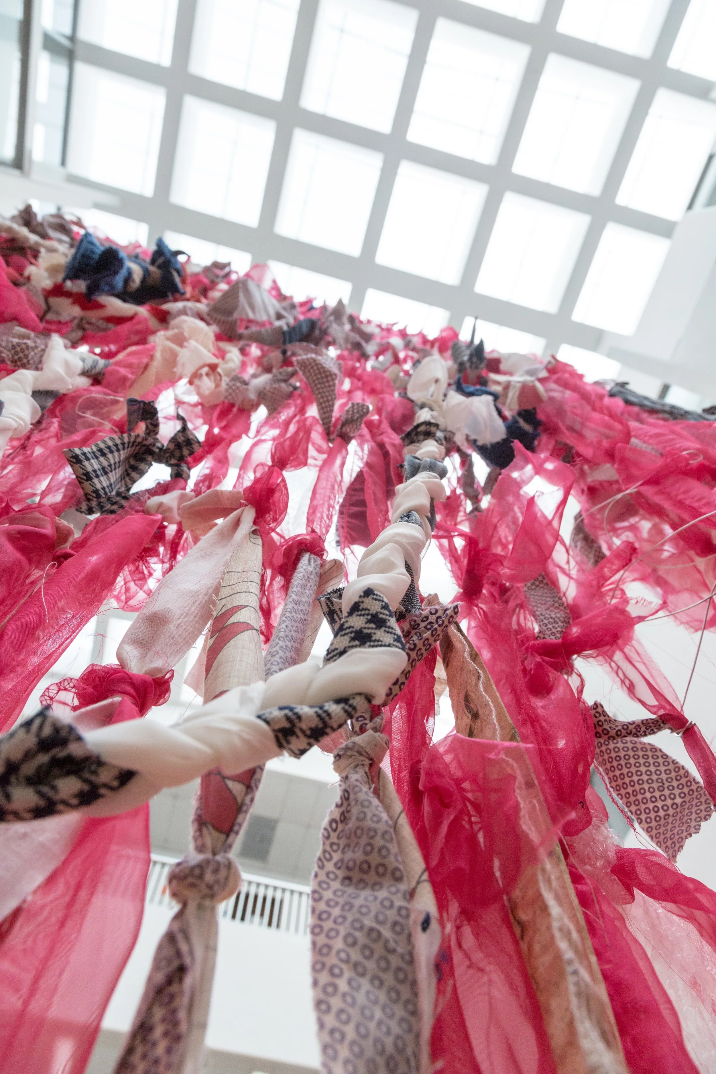 Symbiotic Install-62.jpg
