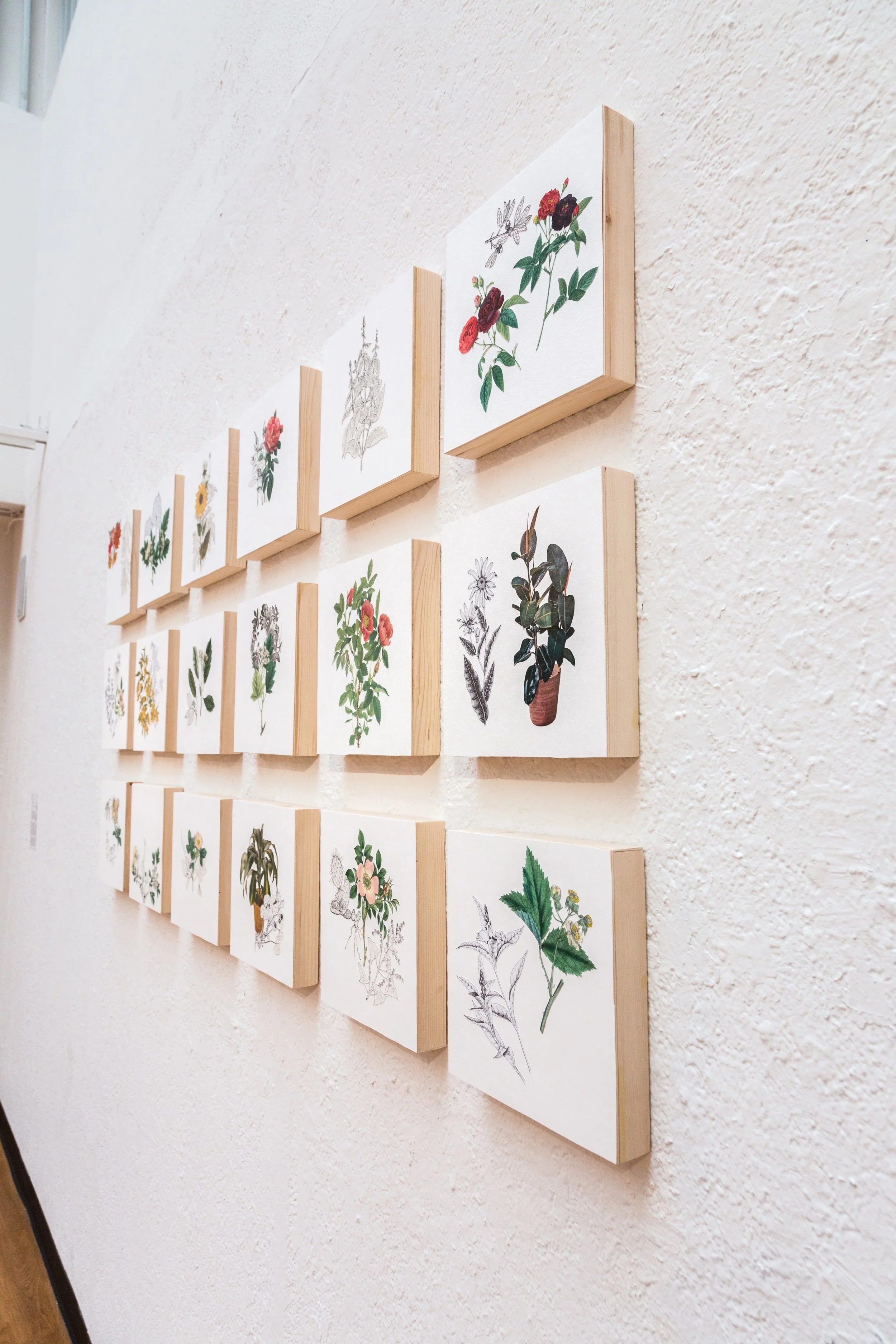 Symbiotic Install-79.jpg