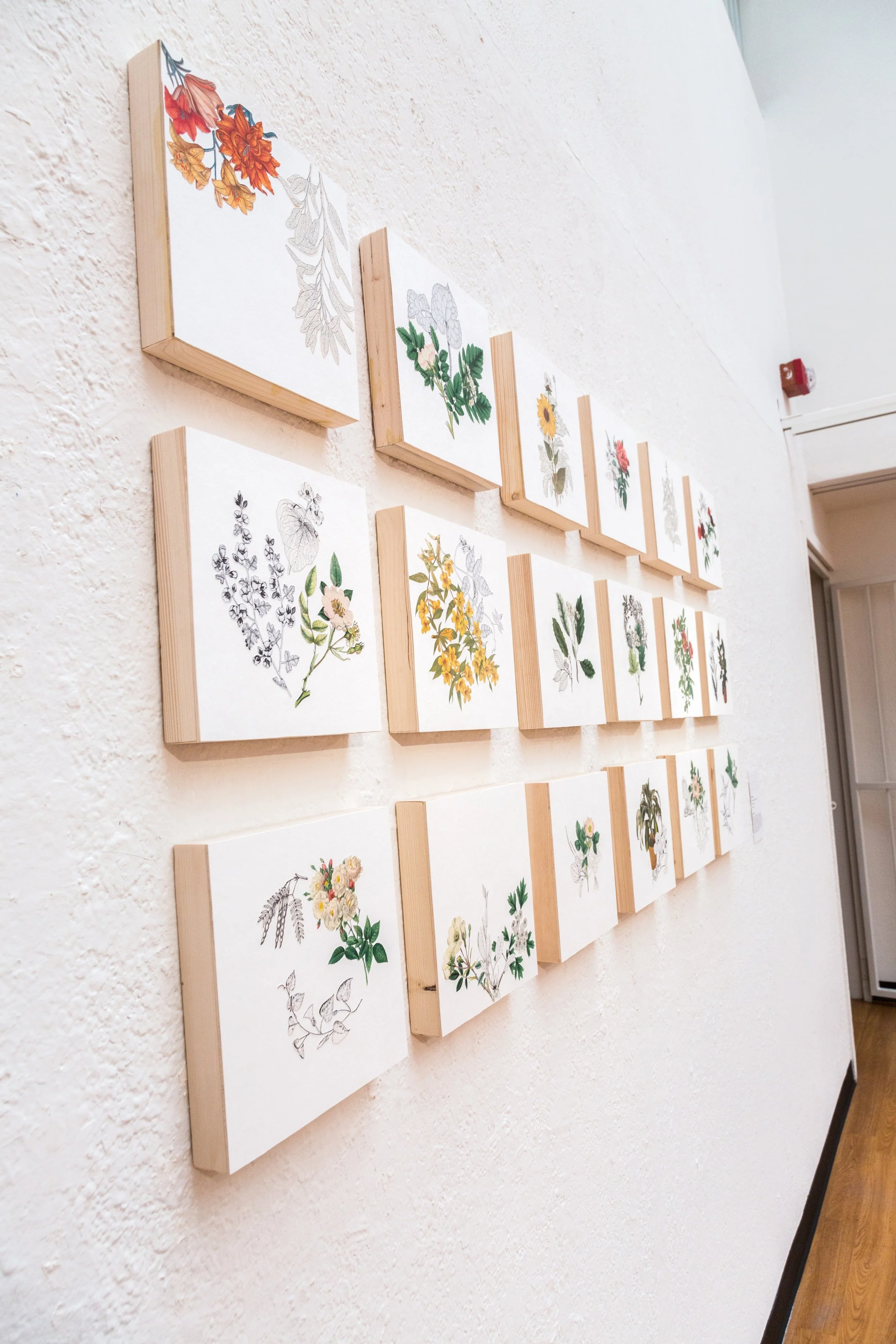 Symbiotic Install-82.jpg