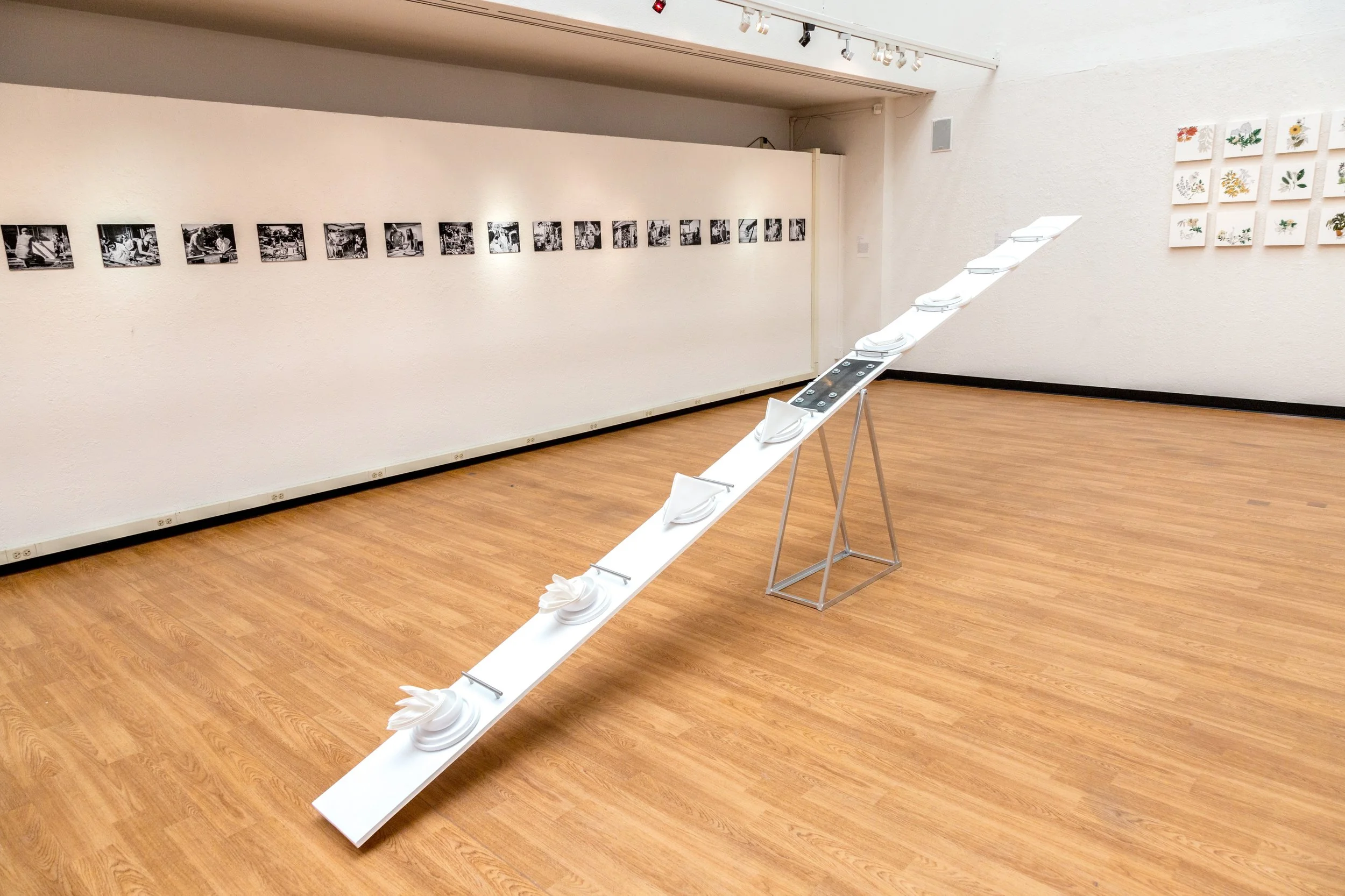 Symbiotic Install-96.jpg