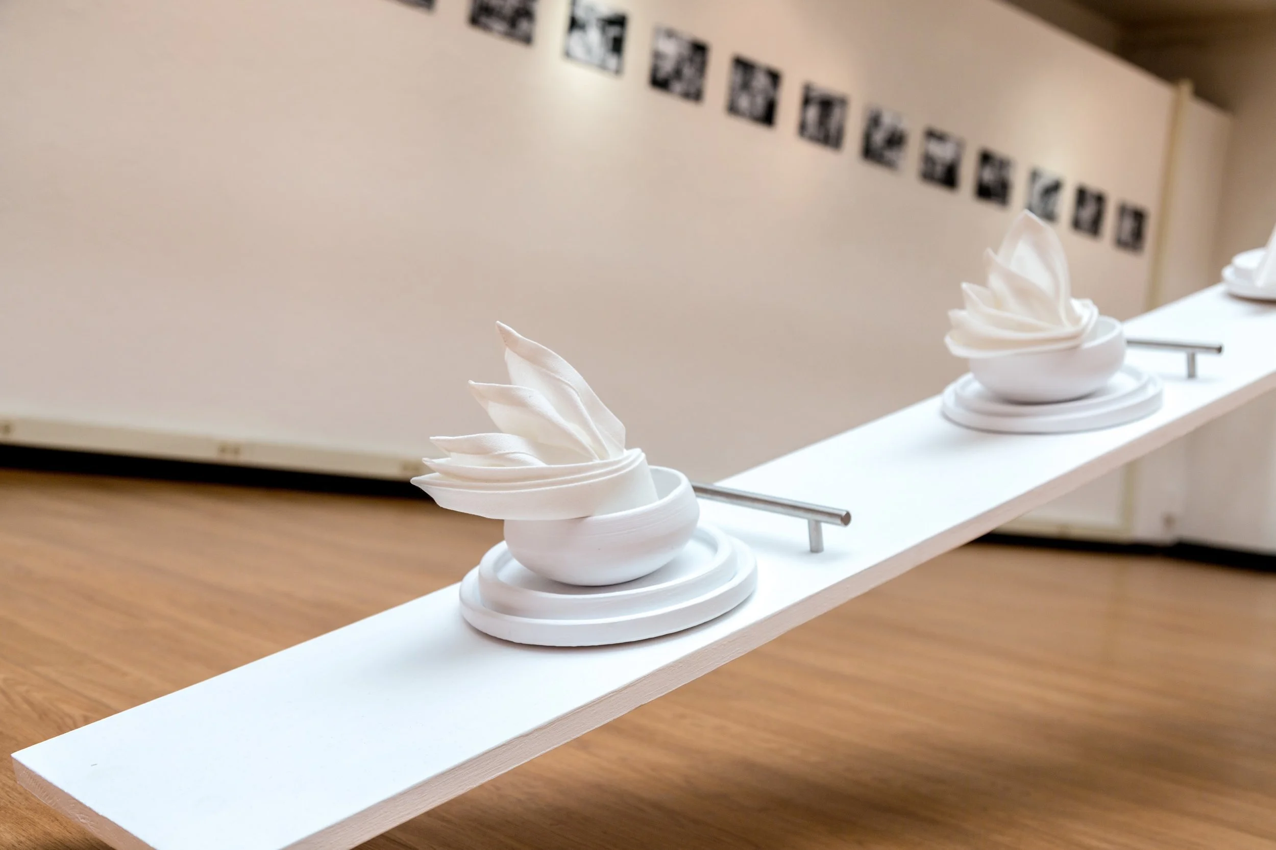 Symbiotic Install-100.jpg