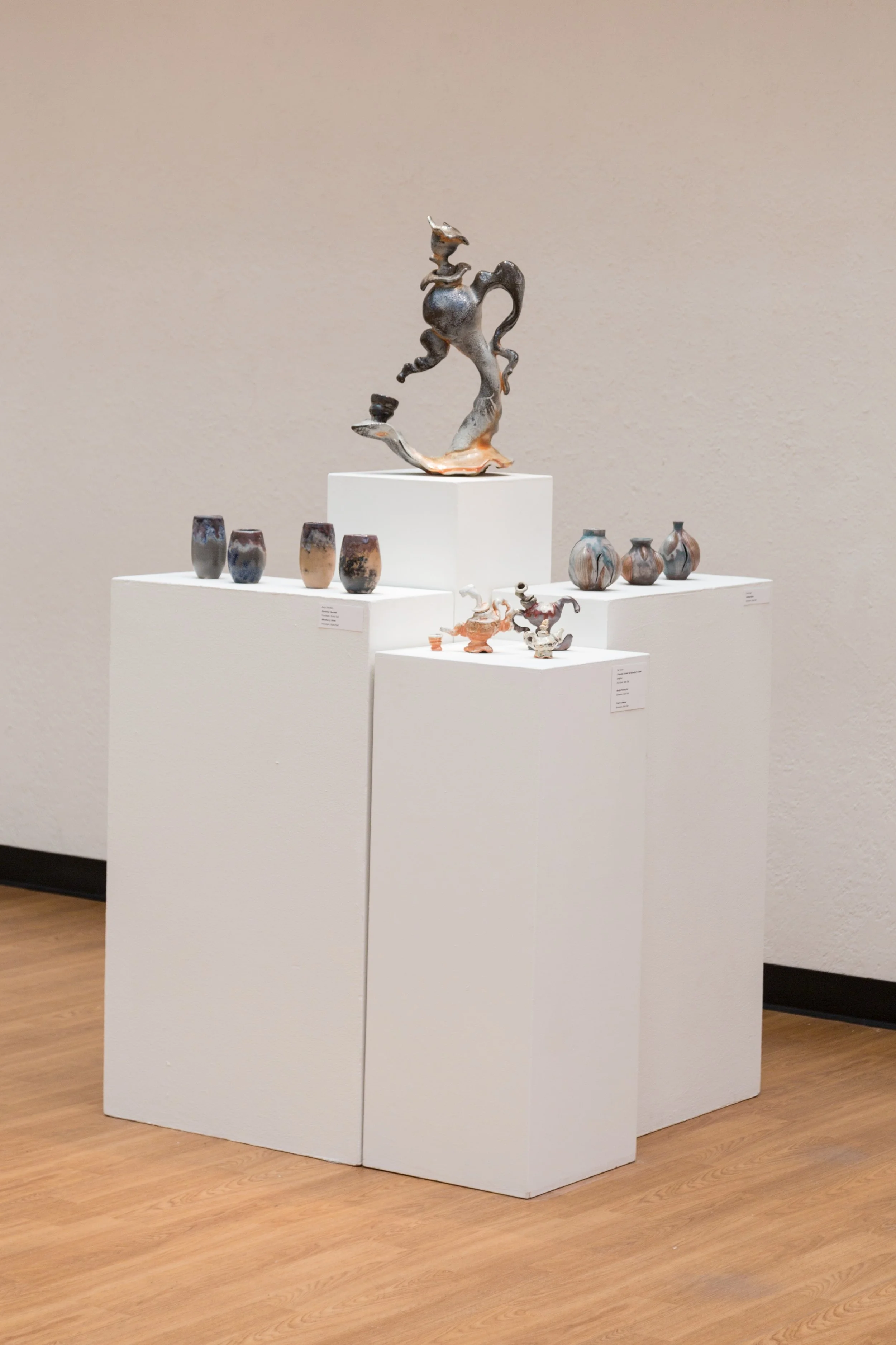 Symbiotic Install-103.jpg