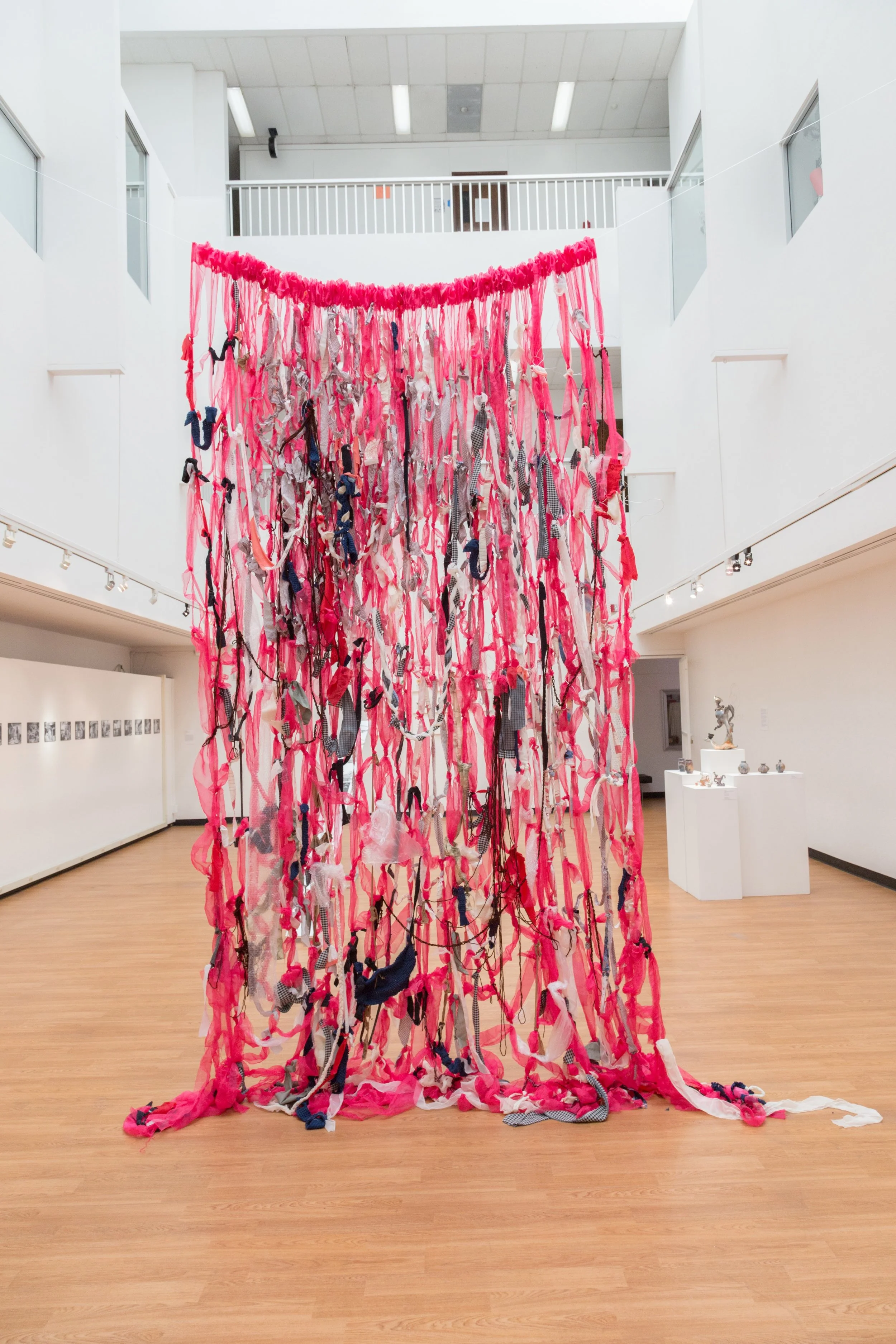 Symbiotic Install-106.jpg