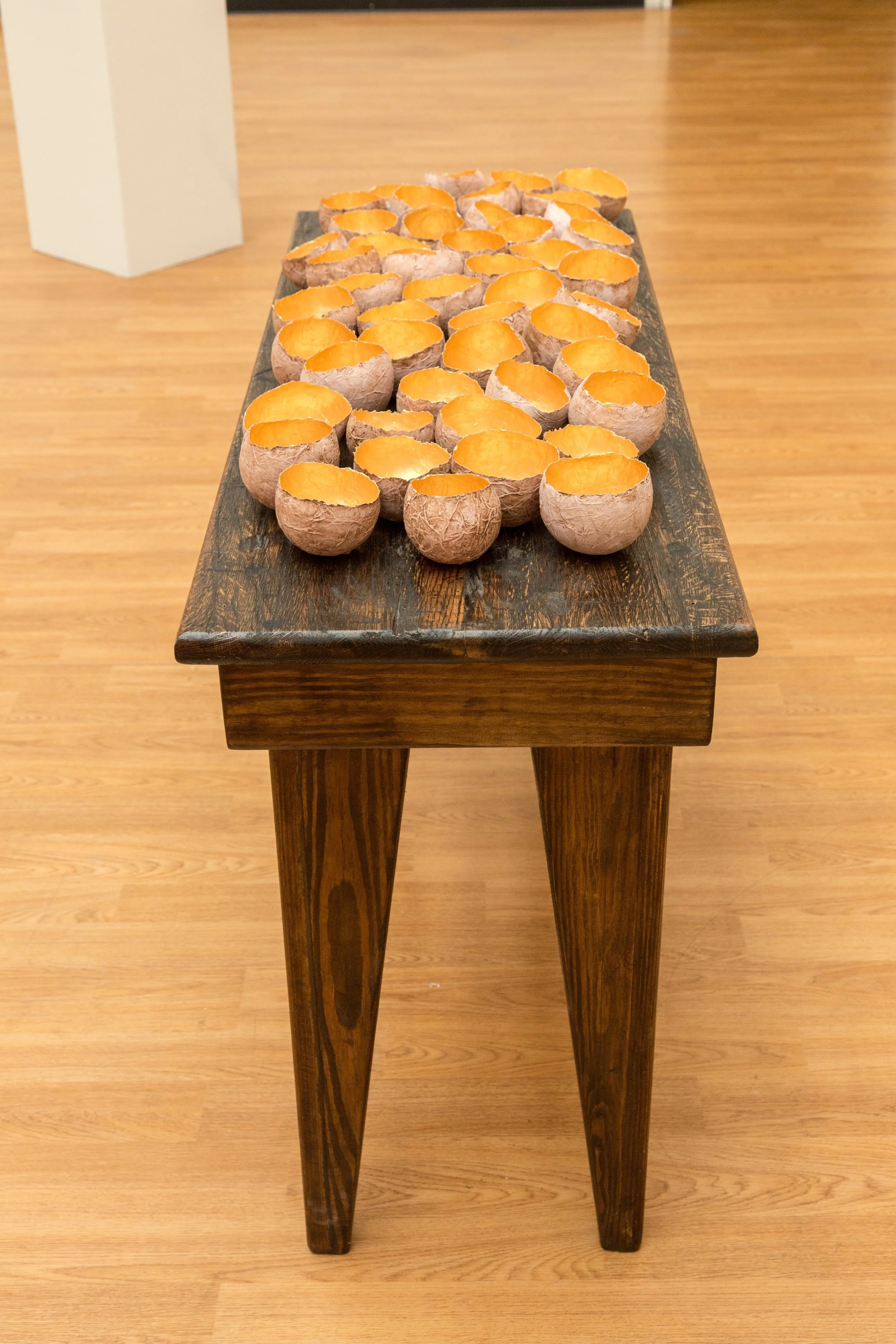 Symbiotic Install-119.jpg