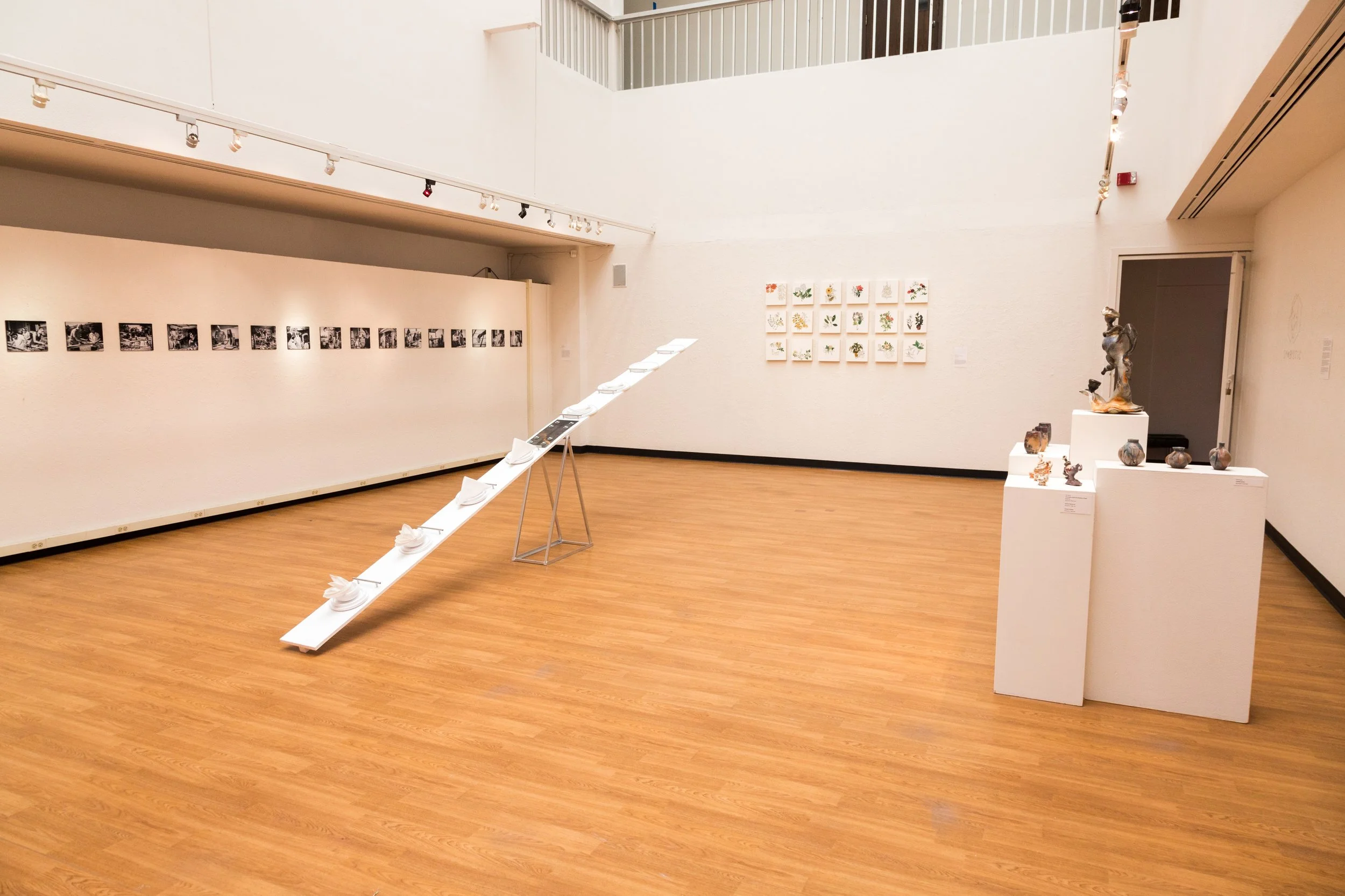 Symbiotic Install-129.jpg