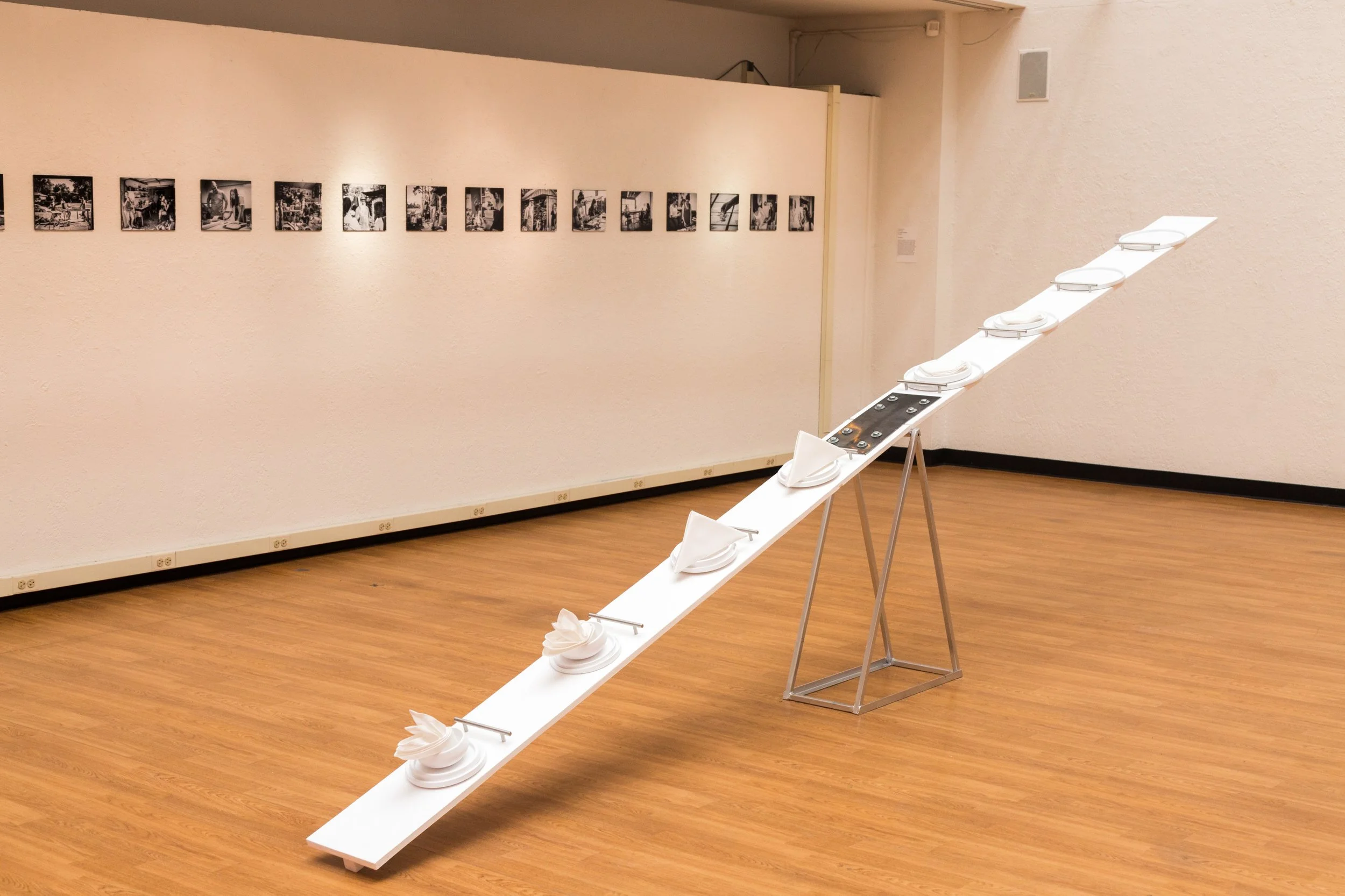 Symbiotic Install-128.jpg