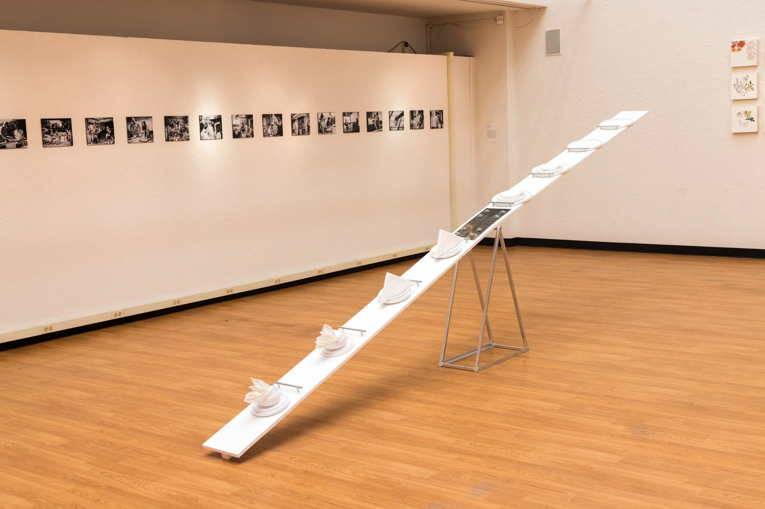 Symbiotic Install-130.jpg
