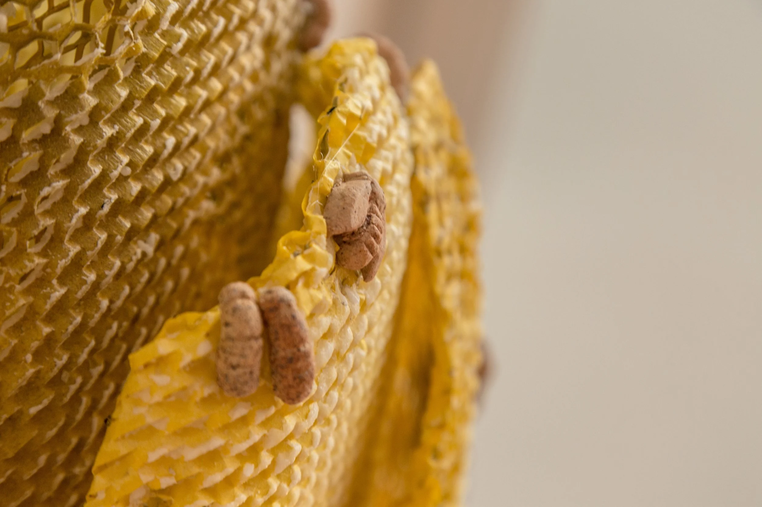 Symbiotic Install-151.jpg