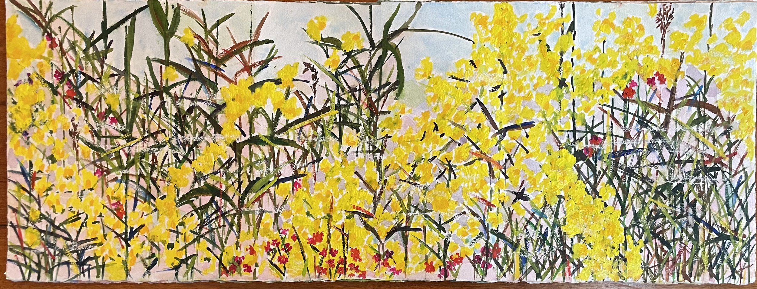 Catherine's Meadow 2023, 30x15 in