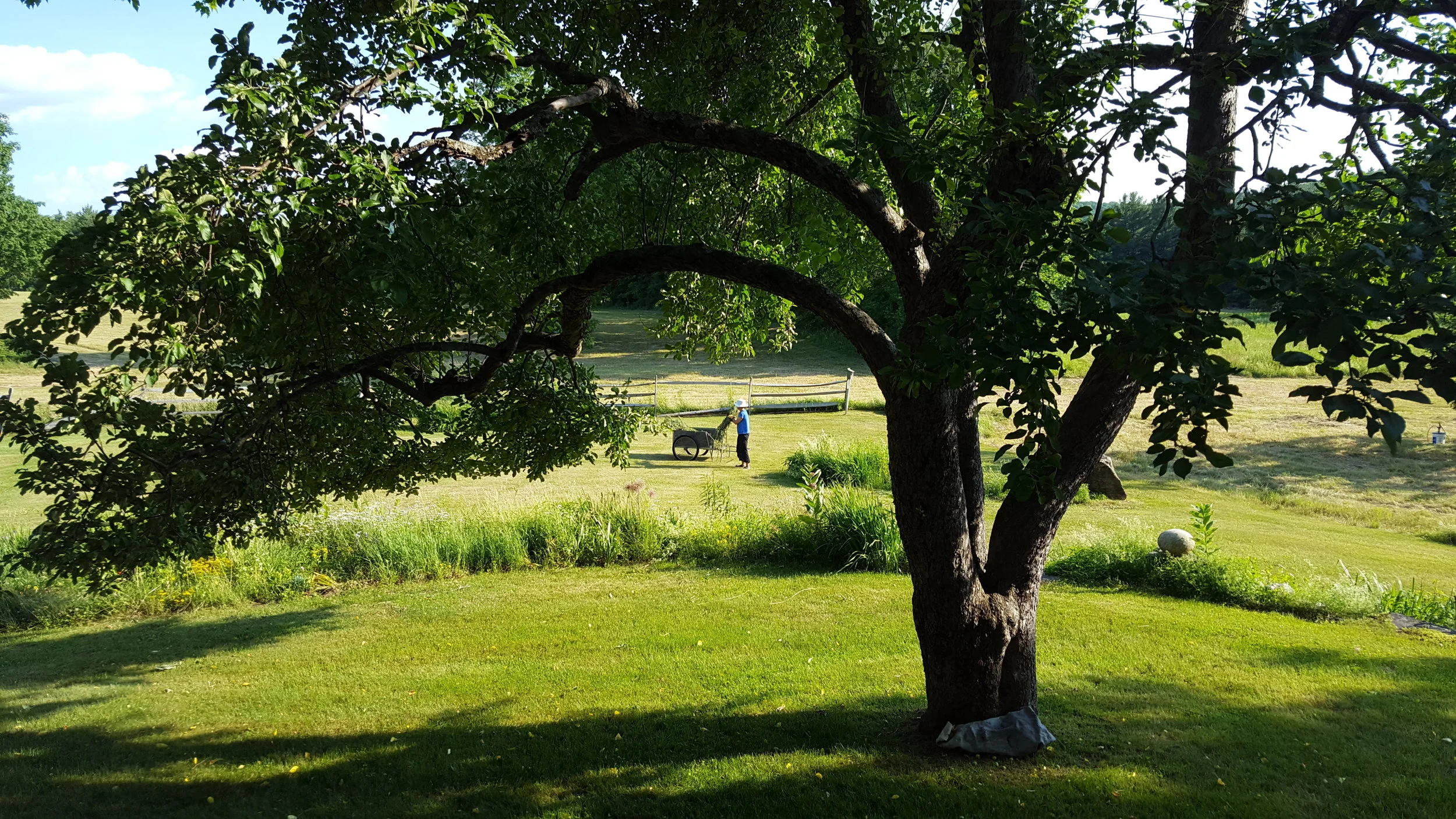 20160625_175639.jpg