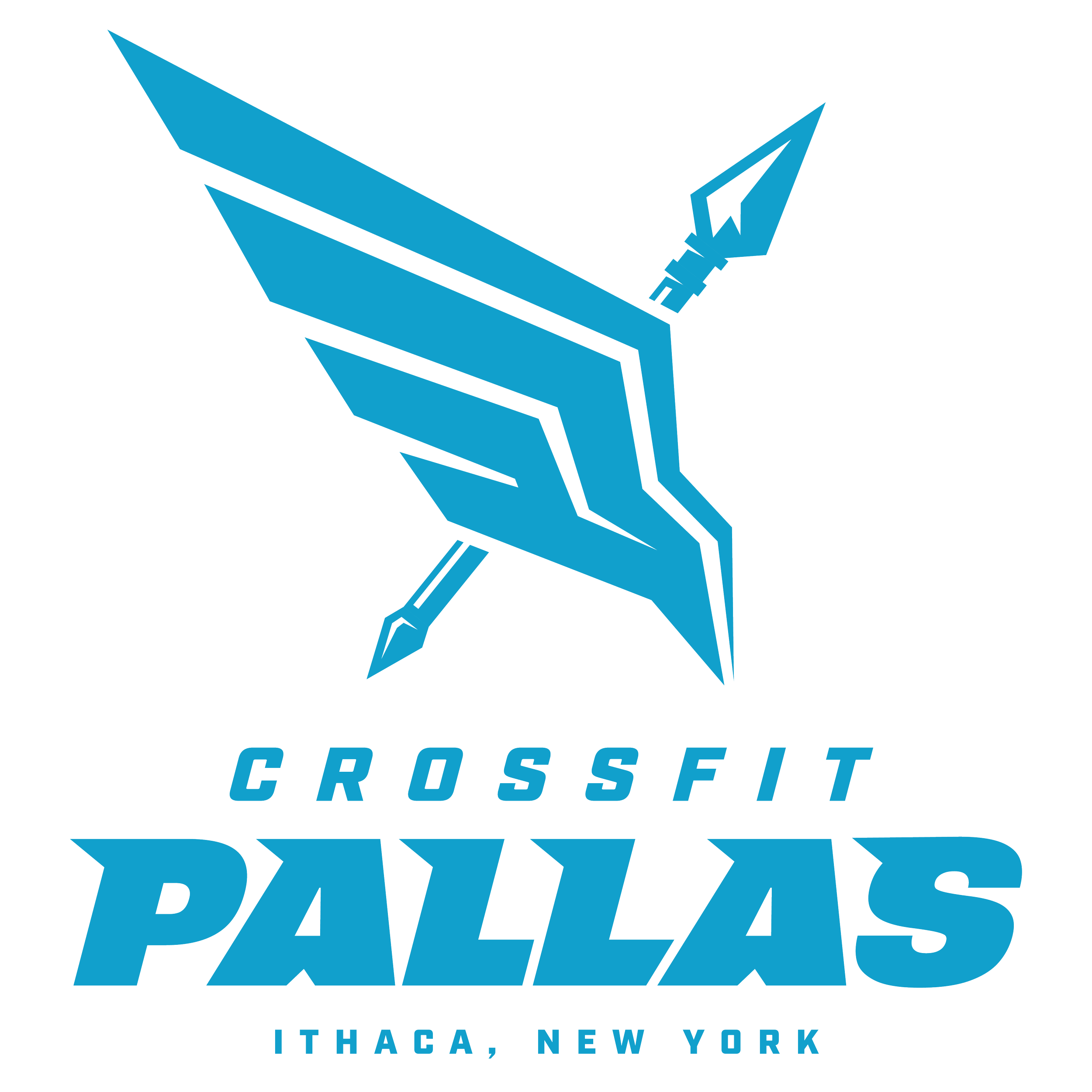 CrossFit Pallas