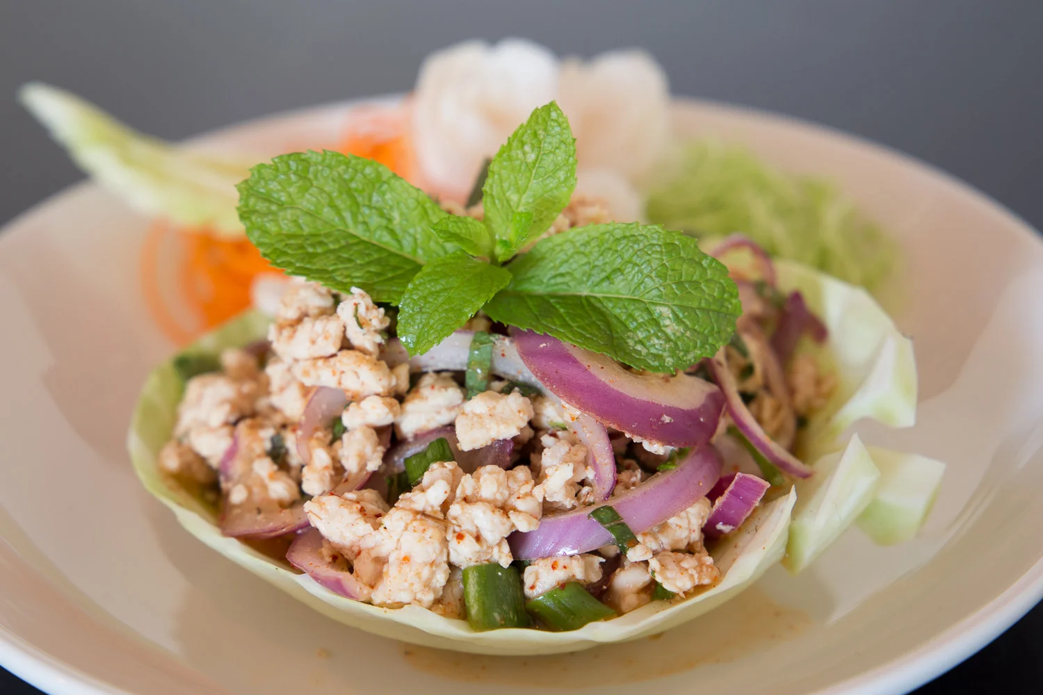 Larb Thai Salad
