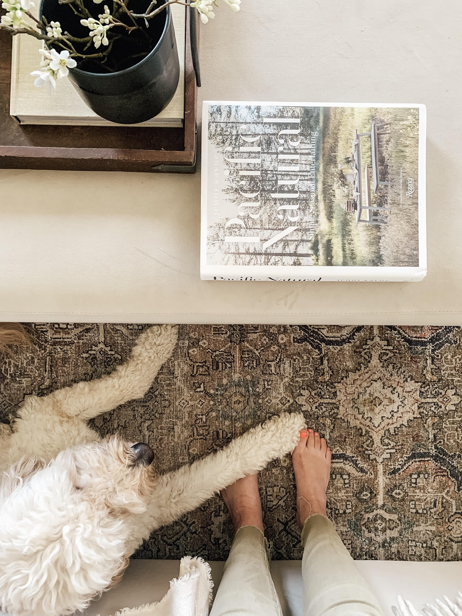 Tiny Bits of Happiness | Book Round Up