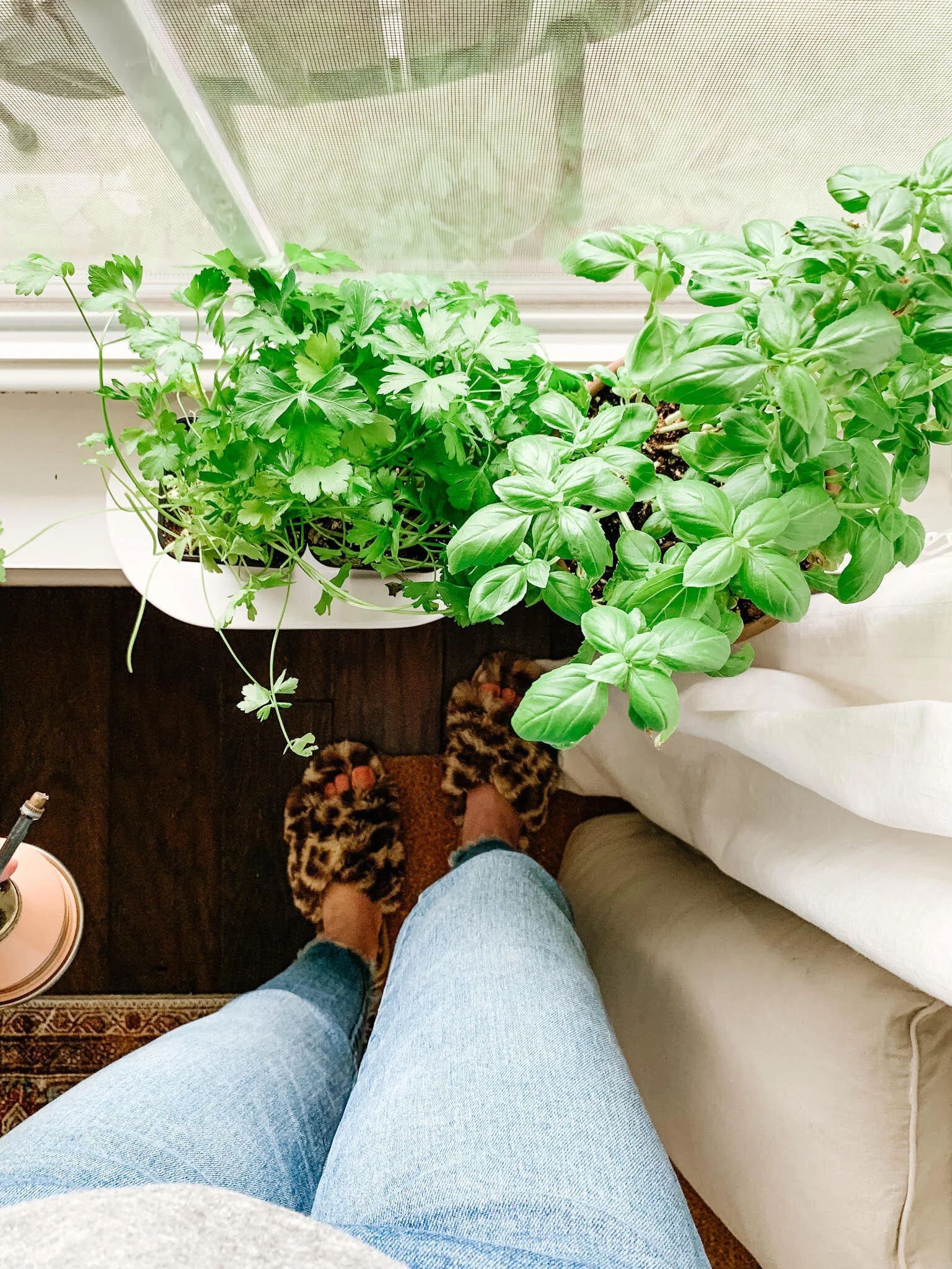 Tiny Bits of Happiness | 5 Things Bringing Joy at Home
