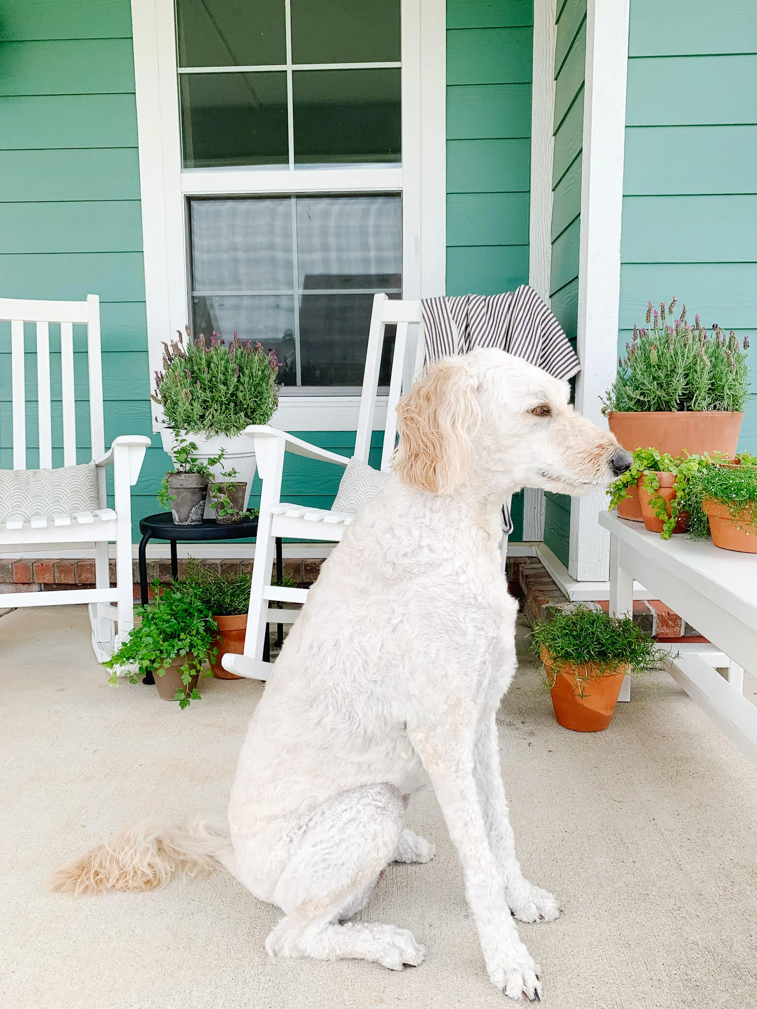 Tiny Bits of Happiness | Happiness Round Up