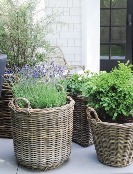 Source: Cottage &amp; Vine