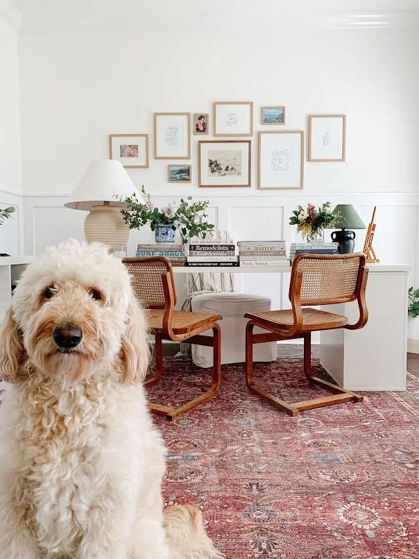 Top Five White Paints