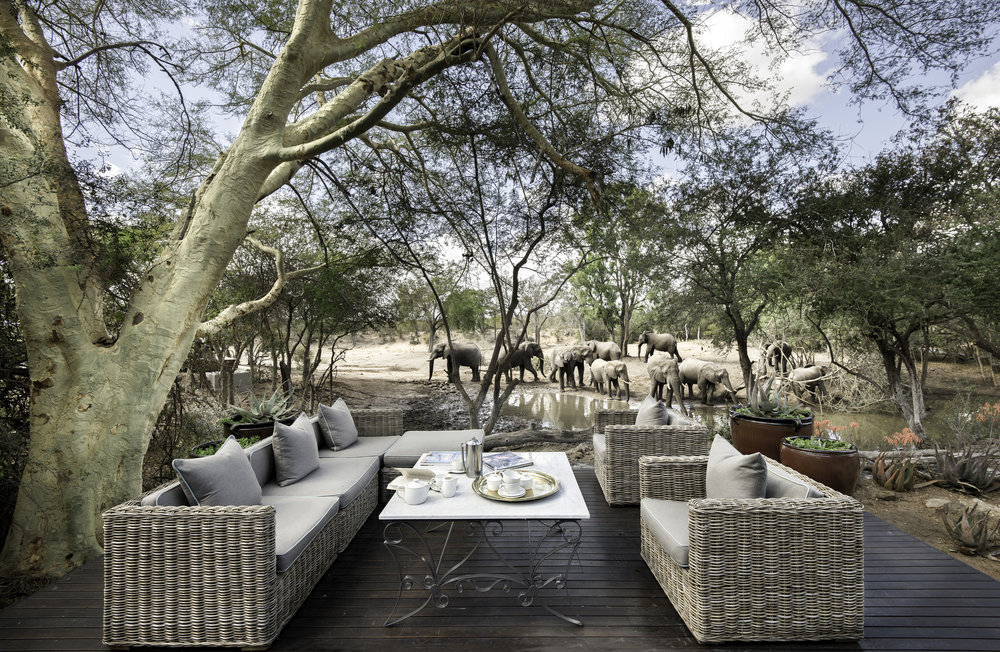 andBeyond-Ngala-Safari-Lodge-Guest-Areas3_&B_2.jpg