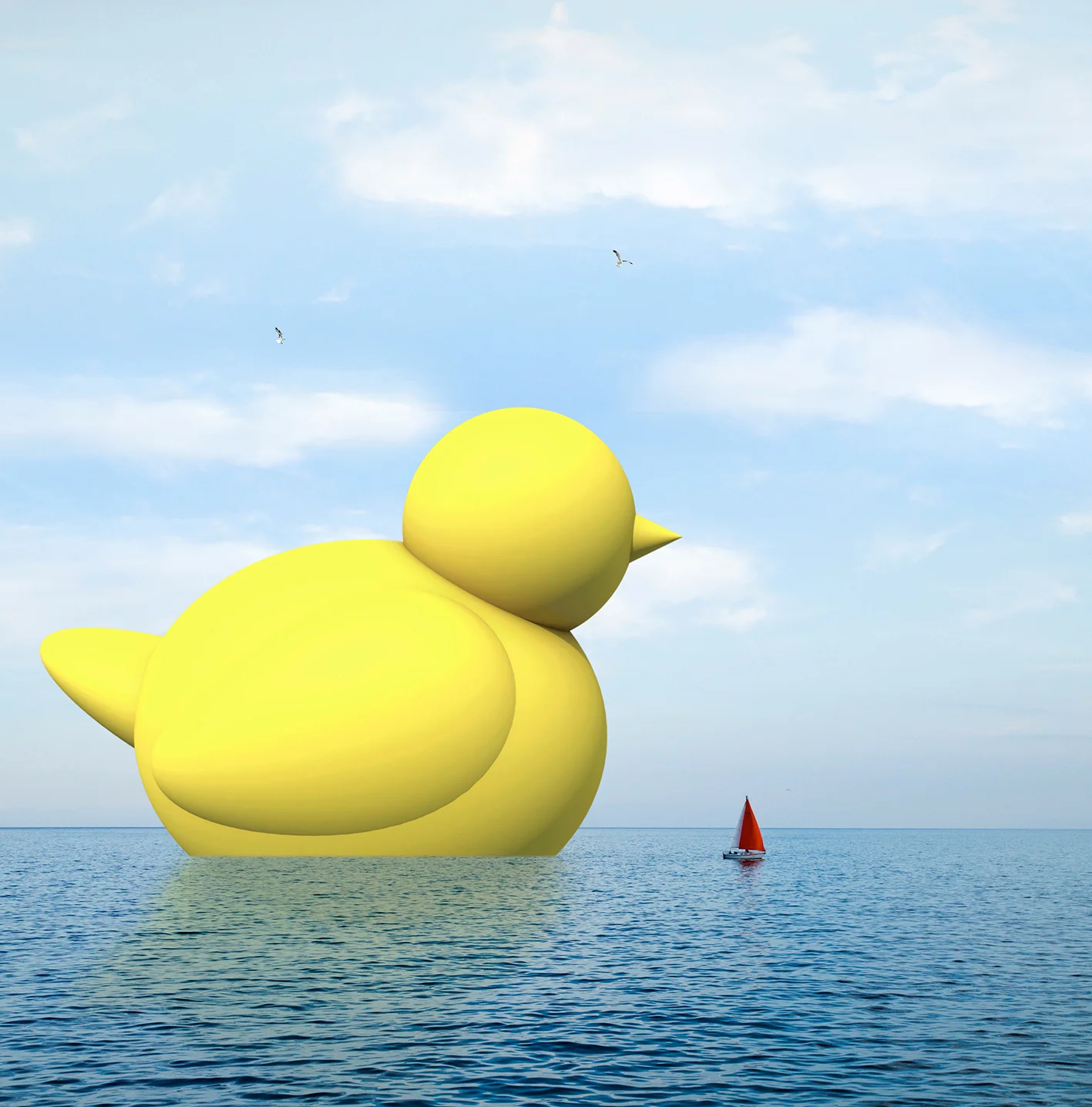 duck smaller.jpg