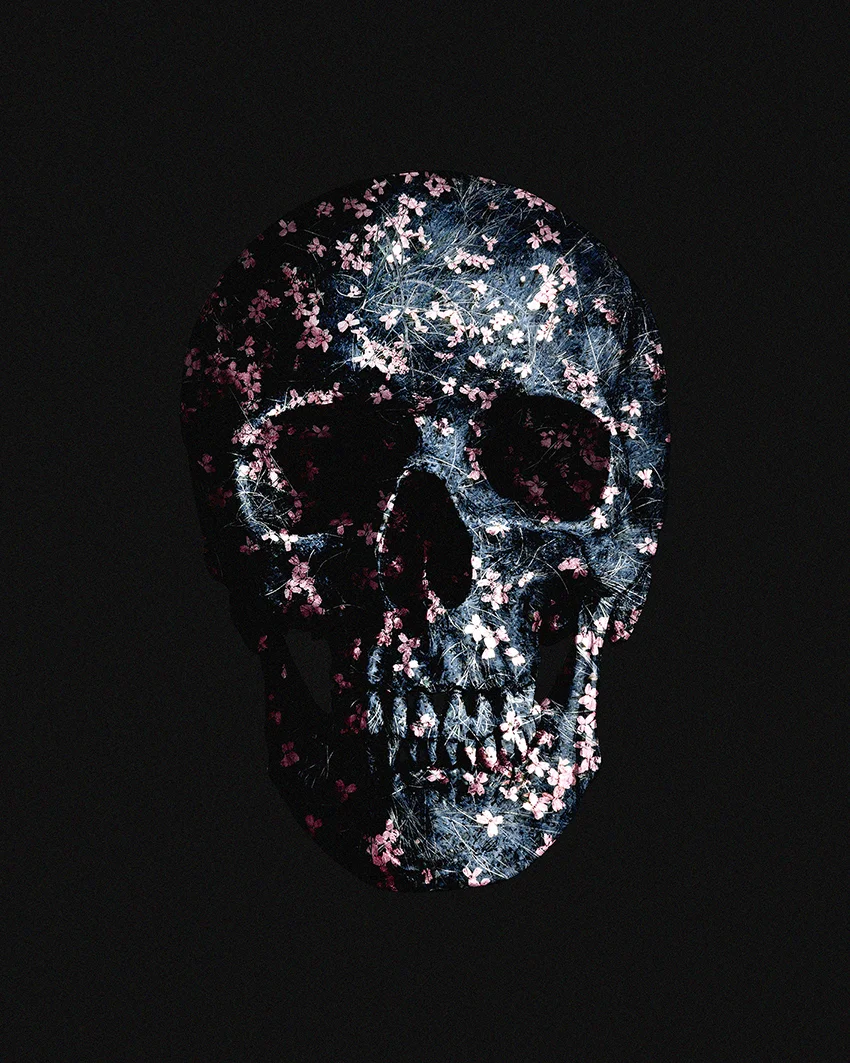 skull_4-1 smaller.jpg