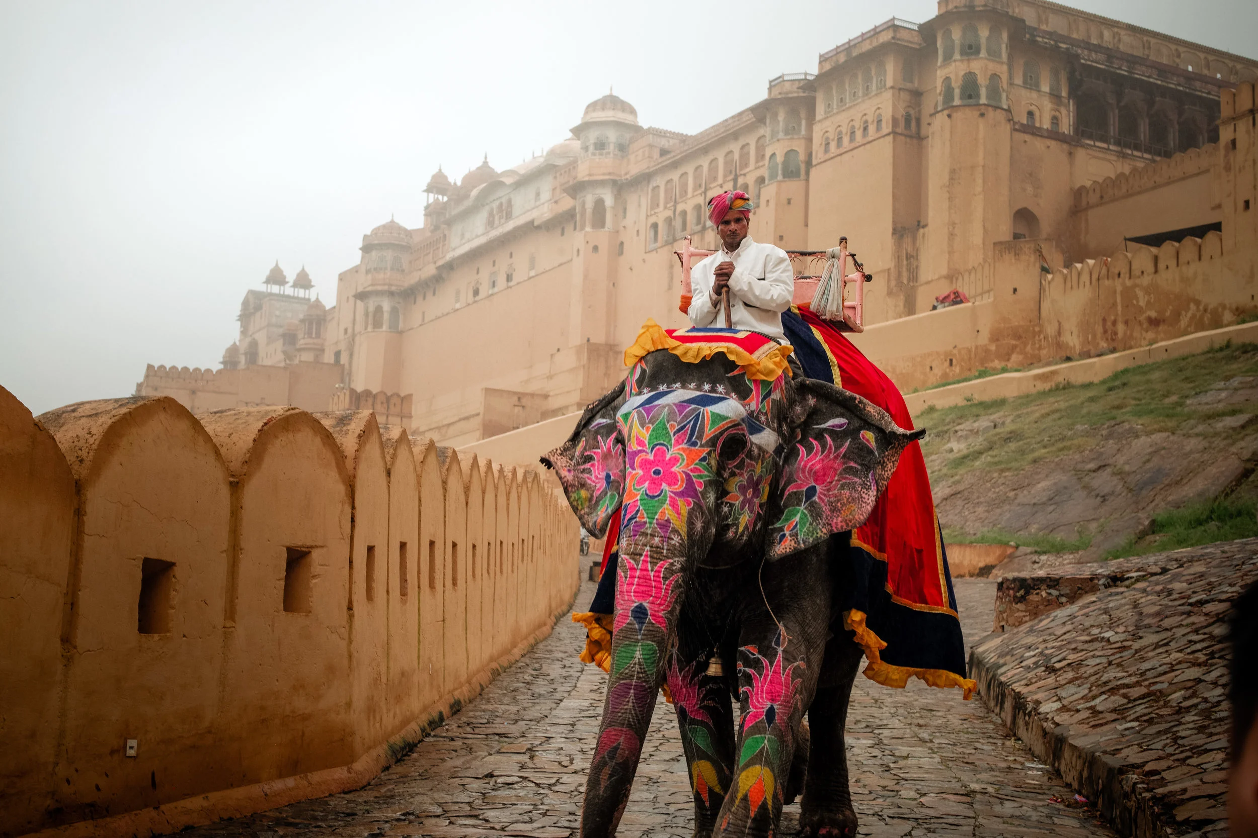 India_2018-385.jpg