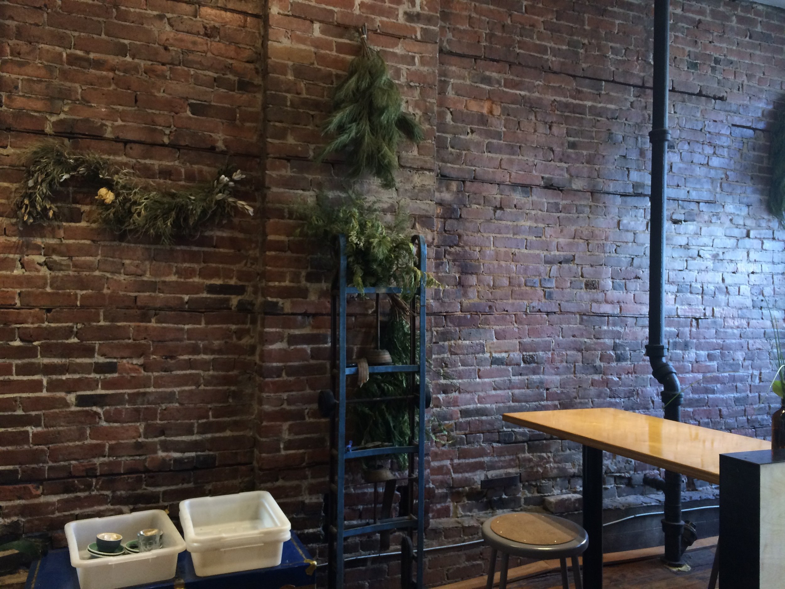 Cafe Series: Beautiful Birds & the Beets