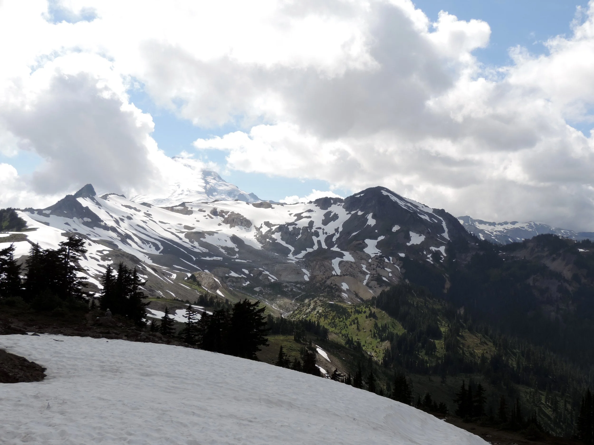 DSCN3778.jpg