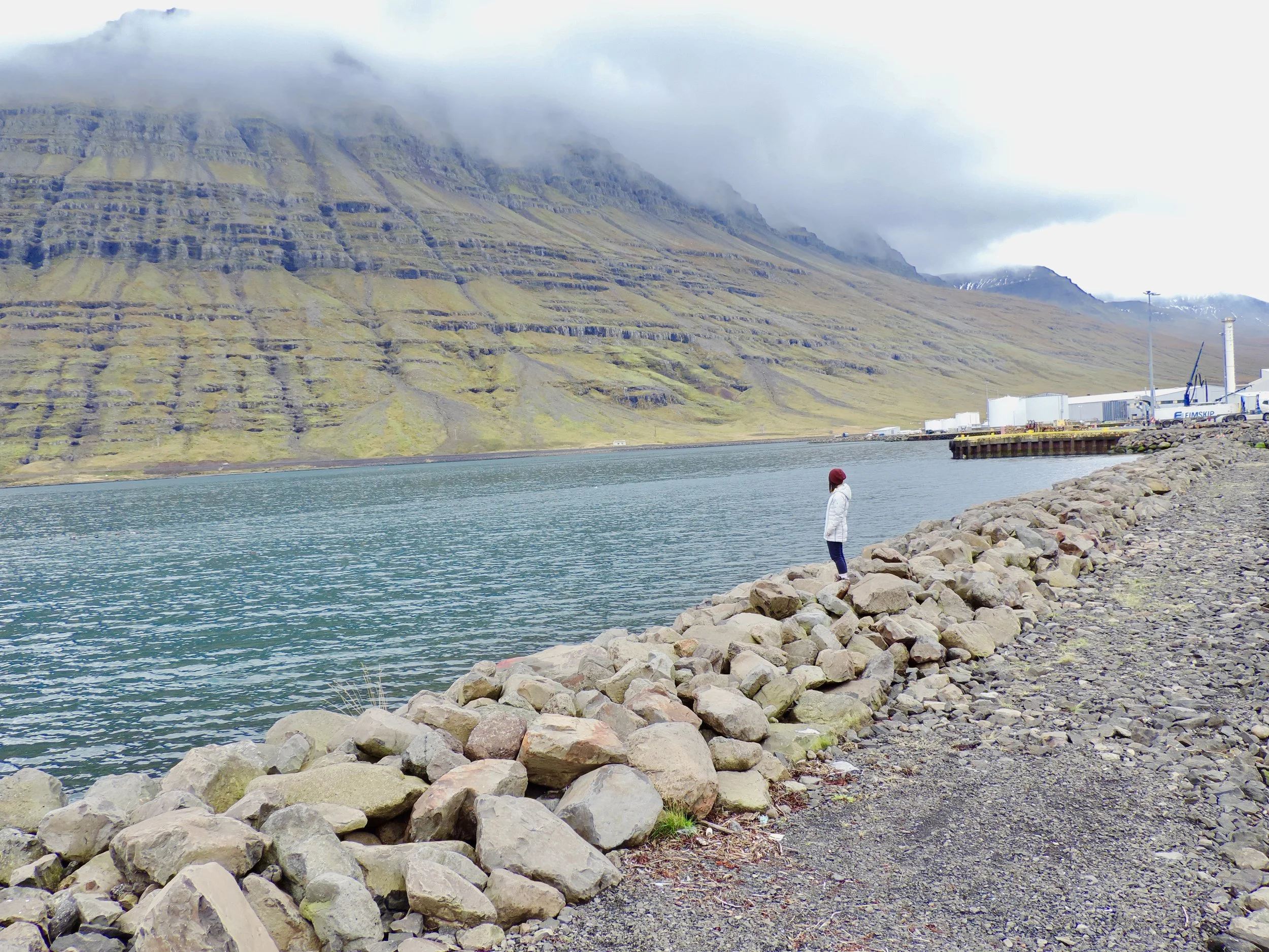 Iceland: Ring Road Day 4!