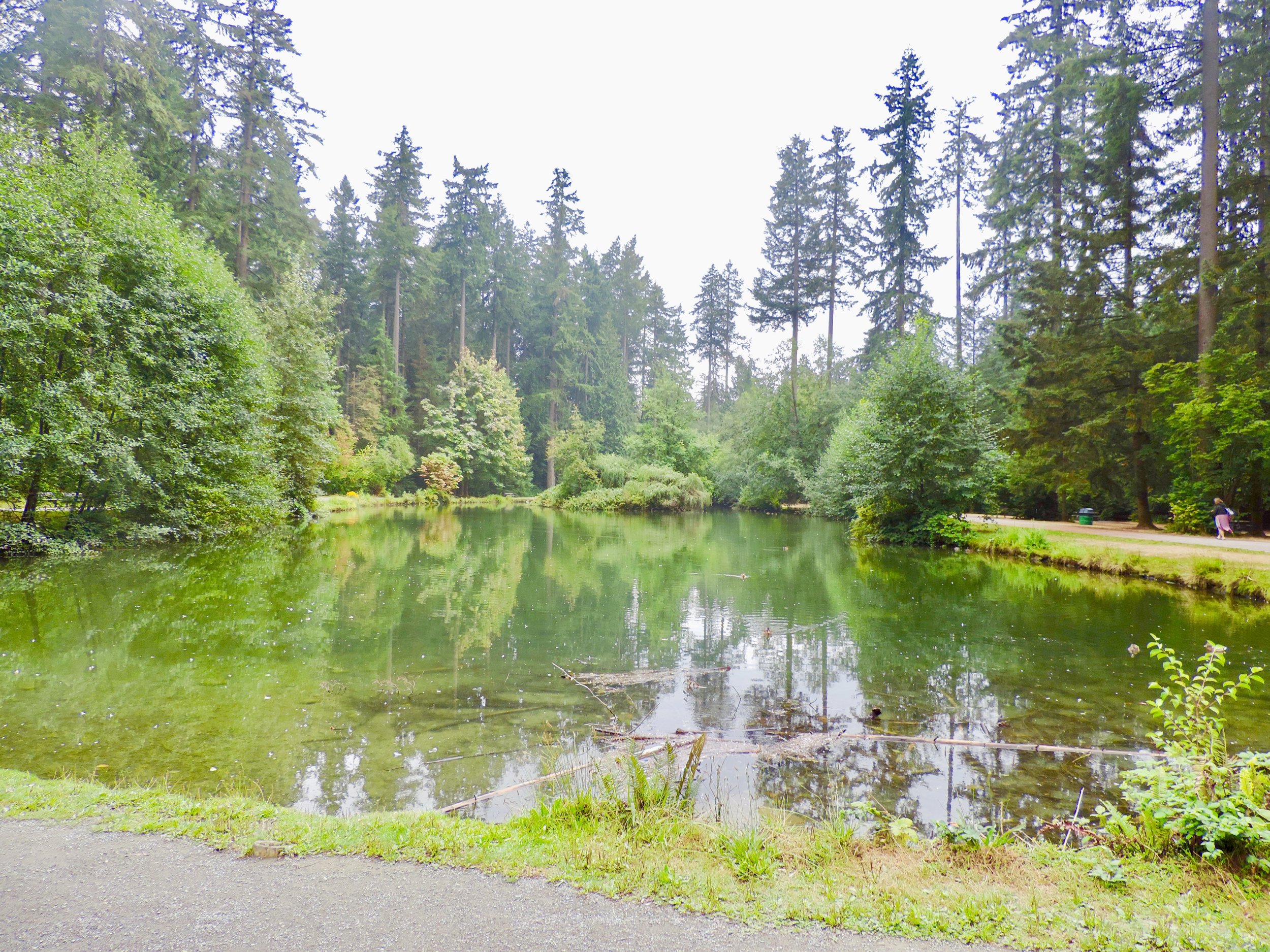 Upper Pond was definitely tranquil