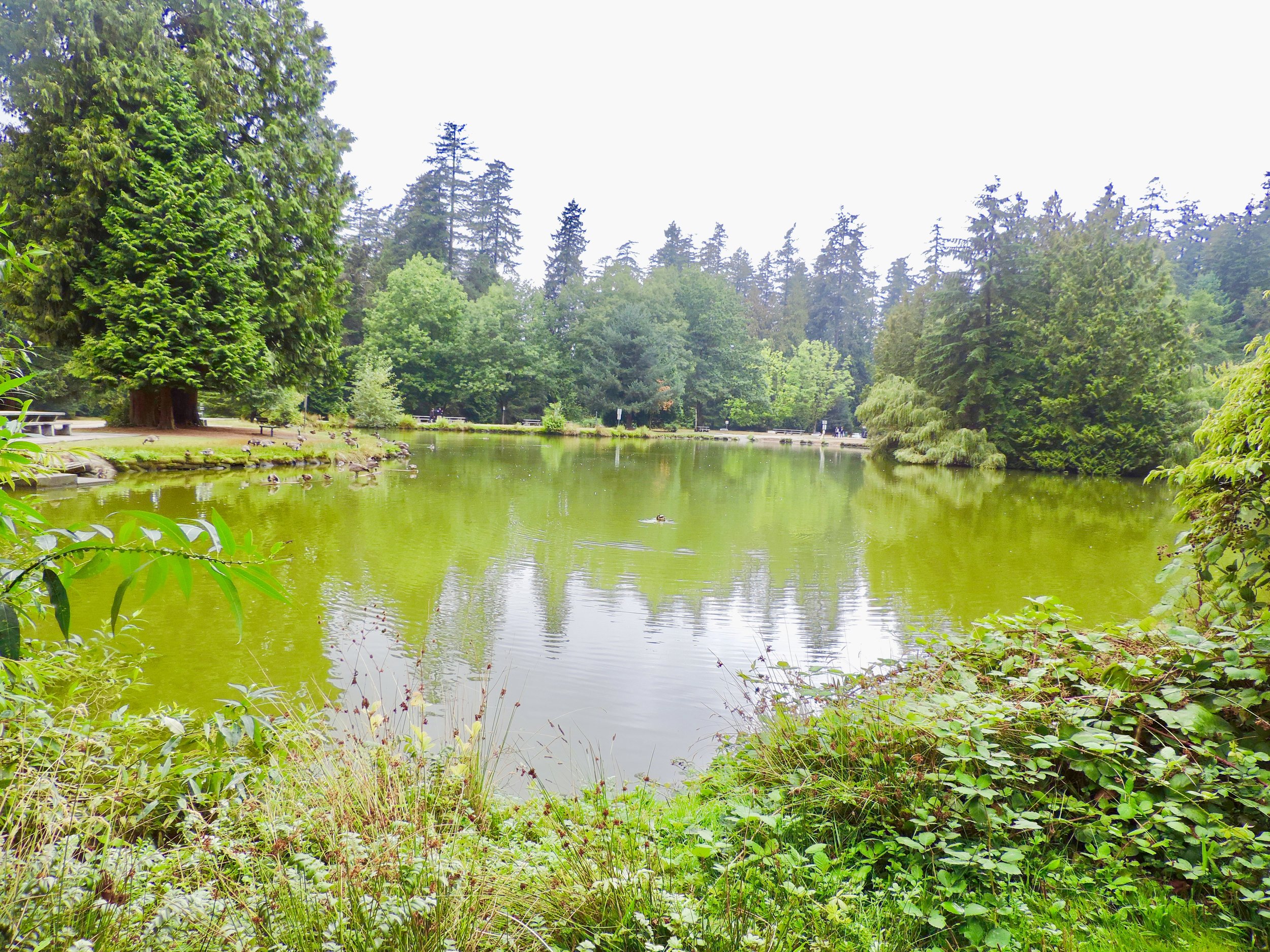 & of course... we visited Lower Pond
